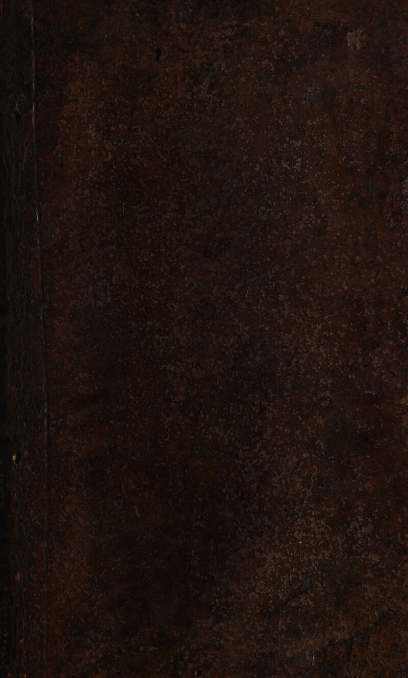 ALI on Ca FETE PE brel) : > 24