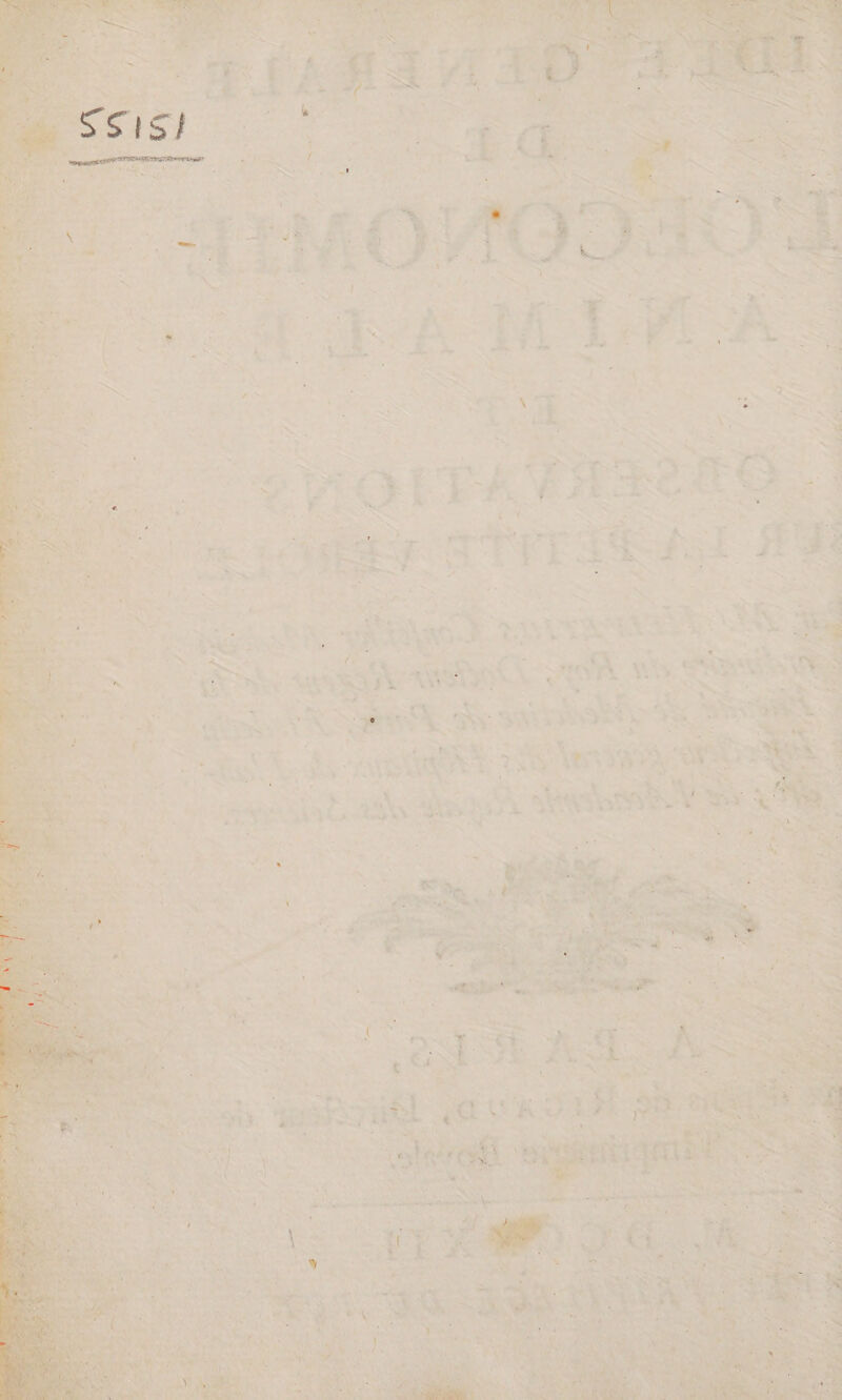 ee nn ace j “> (pie Sie, 2 %