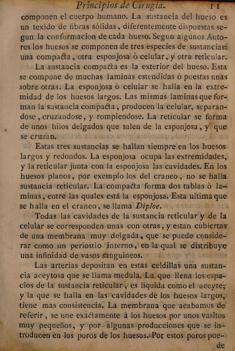 componen el cuerpo humano. La sustancia del hueso es un texido de fibras sólidas , diferentemente dispuestas se- gun la conformacion de cada hueso. Segun algunos Auto- res los huesos se componen de tres especies de sustancias: una compaéta , otra esponjosa o celular, y otra-reticular; La sustancia compacta es la exterior del hueso. Esta se compone de muchas laminas estendidas O puestas unas sobre otras. La esponjosa 0 celular se halla en la extre- midad de los huesos largos. Las mismas laminas que for= man la sustancia compaéta, producen la celular, separan- de unos hilos pt que salen de la esponjosa , y que se cruzan. pu Ba - Estas tres sustancias se: hallan siempre: en los hobiós dera y redondos. La esponjosa ocupa las extremidades, y la reticular junta con la esponjosa las cavidades. En los huesos planos, por exemplo los del craneo, no se halla sustancia reticular. La:compaéta forma dos tablas o la= se halla en el craneo, se llama Diploe. +. *' +38 celular se corresponden unas con otras, y estan cubiertas de una membrana muy delgada., que sepuede conside- rar como un periostio ¡interno.,' en la qien se pad 5 una infinidad de vasos sabguineos. &gt; dijszi Las arterias depositan en estas celdillas una sustan- cia aceytosa que se llama medula. La, que llena: los:espa= cios de la sustancia reticular , es liquida como el aceytez tiene mas consistencia. La membrana que acabamos de y muy pequeños, y pot algunas producciones-que se in