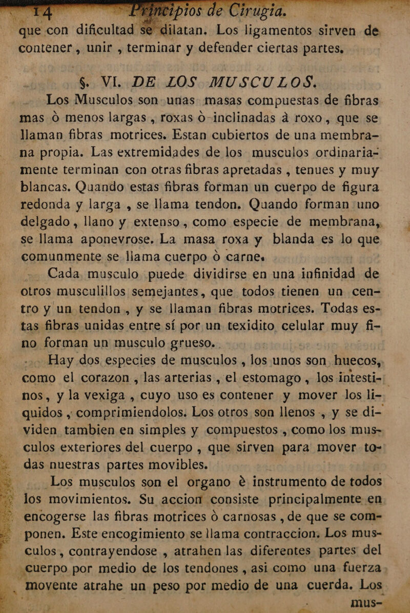 que con dificultad ilatan. Los al sirven de contener, unir , terminar y defender ciertas partes, $. VI. DE LOS MUSCULOS. Los Musculos son unas masas compuestas de fibras mas Ó menos largas , roxas O-inclinadas á roxo , que se llaman fibras motrices. Estan cubiertos de una membra- na propia. Las extremidades de los musculos ordinaria= mente terminan con otras fibras apretadas , tenues y muy blancas. Quando estas fibras forman un cuerpo de figura redonda y larga , se llama tendon. Quando forman «uno delgado , llano y extenso, como especie de membrana,. se llama aponevrose. La masa roxa y blanda es lo que comunmente se llama cuerpo 0 carne» Cada. musculo puede dividirse en una itfinidad de otros musculillos semejantes, que todos tienen un cen= tro y un tendon, y se llaman fibras motrices. Todas es- tas fibras unidas entre sí por un texidito celular uy fi- no forman un musculo grueso. Hay dos especies de musculos , los unos son, huecos, como el corazon ,las arterias , el estomago , los intesti-: os, y la vexiga , cuyo uso es contener y mover los lí- quidos , comprimiendolos. Los otros son llenos -, y se di- viden tambien en simples y compuestos , como los mus- culos exteriores del cuerpo , que sirven para mover to- das nuestras partes movibles. Los musculos son el organo € instrumento de todos ve los movimientos. Su accion consiste principalmente en - encogerse las fibras motrices Ó carnosas , de que se com- ponen. Este encogimiento se llama contraccion. Los mus- culos, contrayendose , atrahen las diferentes partes del Cuerpo por medio de los tendones , asi como una fuerza. . movente atrahe un peso por medio de una cuerda. Los ¡ mus- y TO