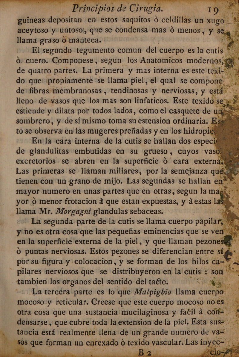 Principios de Cirugía. 19 guineas depositan en estos saquitos o celdillas un xug aceytoso y untoso, que se condensa mas 0 menos, y : llama graso 0 manteca. El segundo tegumento comun del cuerpo es la cutis O. cuero. Componese, segun los Ánatomicos modernos, de quatro partes. La primera y mas interna es este texi- do que: ¡propiamente “se llama piel, el qual se compon de fibras: «membranosas., tendinosas y nerviosas, y ste lleno de wasos que los mas son linfaticos. Este texido., estiende y dilata por todos lados, como el casquete de uni» ES oaRiaS y de sí mismo toma su estension ordinaria. . no me  de Pe embutidas en su grueso, cuyos vasg 4h mayor numero en unas partes que en otras, segun la d. yor ó menor frotacion á que estan expuestas, y destas la% _ llama Mr. Morgagní glandulas sebaceas. 4 y La segunda parte de la cutis se llama cuerpo papilar; y no es otra cosa que las pequeñas eminencias que se ven“. en la superficie externa de la piel, y que llaman pezonestk O puntas nerviosas. Estos pezones se diferencian entre s. é * pilares nerviosos que se distribuyeron en la cutis : son ¿ tambien los organos del sentido del taéto. PE Aa de sd La tercera parte es lo que Malpighio llama cuerpo. mocoso y reticular. Creese que este cuerpo mocoso AA : otra cosa que una sustancia mucilaginosa y fatil á coié= . densarse , que cubre toda la extension de la piel. Esta mn: tancia está realmente llena de un grande numero de va=