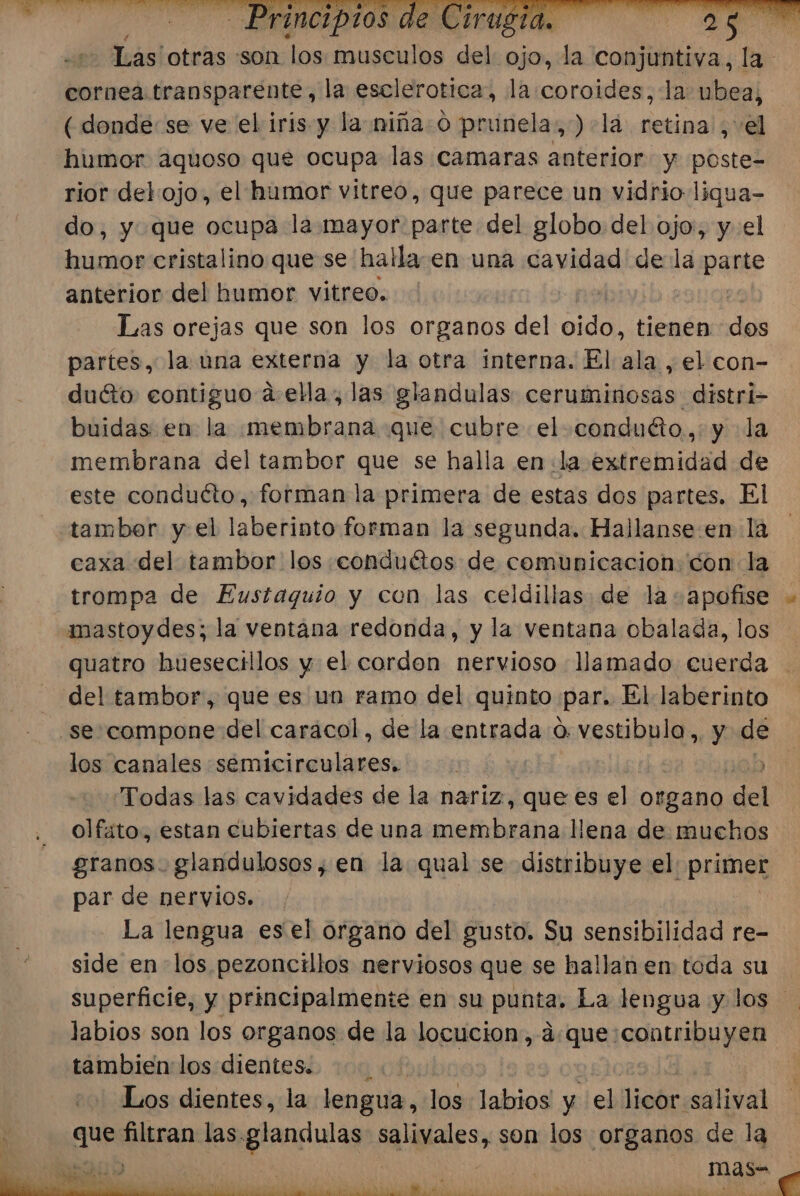 Las' otras son “los musculos del ojo, la conjuntiva, q cornea transparente, la esclerotica, la coroides, la ubea, (donde: se ve el iris y la niña: o prunela,) lá retina, el rior del ojo, el humor vitreo, que parece un vidrio liqua- do, y que ocupa la mayor parte del globo del ojo:, yel humor cristalino que se halla.en una cavidad dela parte anterior del humor vitreo. Las orejas que son los organos del a tienen dos partes, la una externa y la otra interna. El ala , el con- duéto contiguo a ella, las glandulas ceruminosas distri- buidas. en la membrana que cubre el-condutto.,: y la membrana del tambor que se halla en la extremidad de este conducto, forman la primera de estas dos partes, El caxa del tambor los conduétos de comunicacion con la trompa de Eustaquio y con las celdillas de la + apofise iamastoydes; la ventana redonda, y la ventana obalada, los quatro huesecillos y el cordon nervioso llamado cuerda del tambor, que es un ramo del quinto par. El laberinto los canales semicirculares. Todas las cavidades de la nariz, que es el organo del olfato, estan cubiertas de una mitin llena de muchos granos. glandulosos, en la qual se distribuye el primer par de nervios. - La lengua esel organo del gusto. Su sensibilidad re- side en los pezoncillos nerviosos que se hallan en toda su superficie, y principalmente en su punta. La lengua y los labios son los organos de la locucion, á:que: DE us tambien los dientes. Los dientes, la lengua, los labios y el licor: salival is