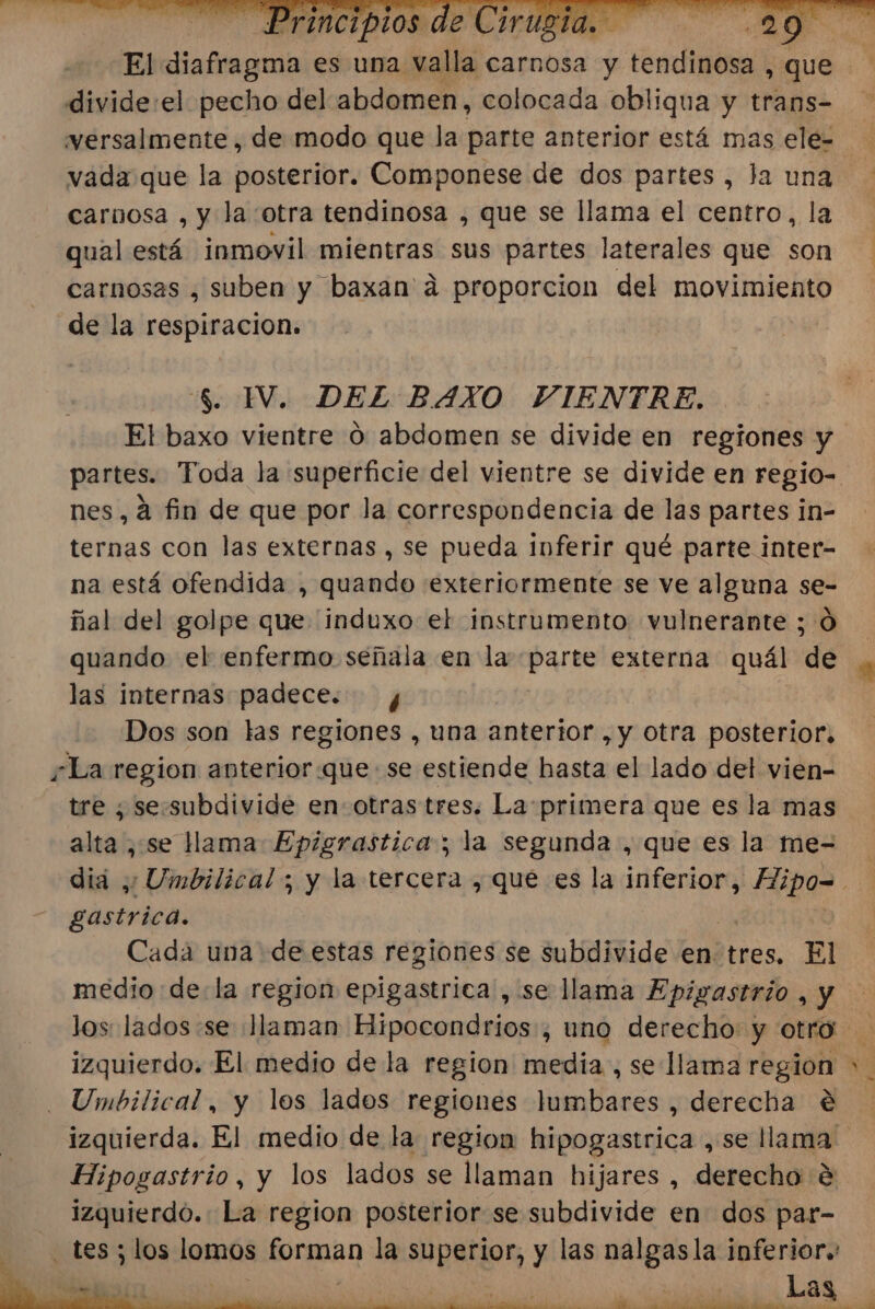 divide:el pecho del abdomen, colocada obliqua y trans- vada que la posterior. Componese de dos partes , la una carnosa , y la otra tendinosa , que se llama el centro, la qual está inmovil mientras sus partes laterales que son carnosas , suben y baxan' á proporcion del movimiento de la respiracion. 5. IV. DEL BAXO VIENTRE. nes, 4 fin de que por la correspondencia de las partes in- ternas con las externas , se pueda inferir qué parte inter- na está ofendida , quando exteriormente se ve alguna se- ñal del golpe que 'induxo el instrumento vulnerante ; Ó las internas padece. y Dos son tas regiones , una anterior , y otra posterior; ¿La region anterior.que se estiende hasta el lado del vien- tre ¿ se.ssubdivide en- otras tres. La primera que es la mas alta , se llama Epigrastica; la segunda , que es la me- gastrica. Cada una de estas regiones se subdivide en tres. El medio dela region epigastrica , se llama Epiyastrio , y izquierdo. El medio de la region media, se llama region -Umbilical, y los lados regiones lumbares , derecha € izquierda. El medio de la region hipogastrica , se Hana Hipogastrio, y los lados se llaman hijares , derecho $e izquierdo. La region posterior se subdivide en dos par- tes; los lomos forman la superior, y las nalgasla inferior. | Las A as e a E A DE A a e 7-6