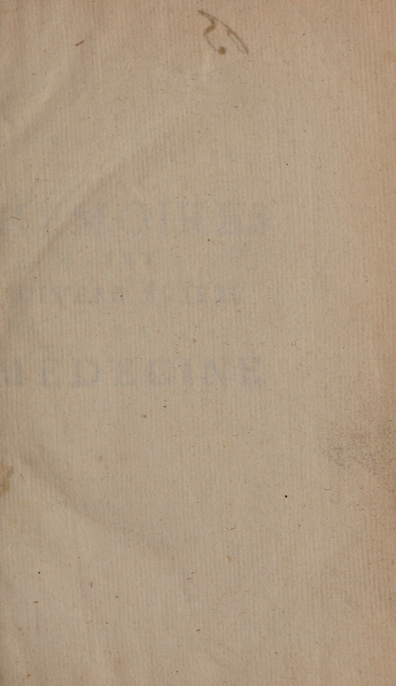 À dès e°. CORNE SE 5