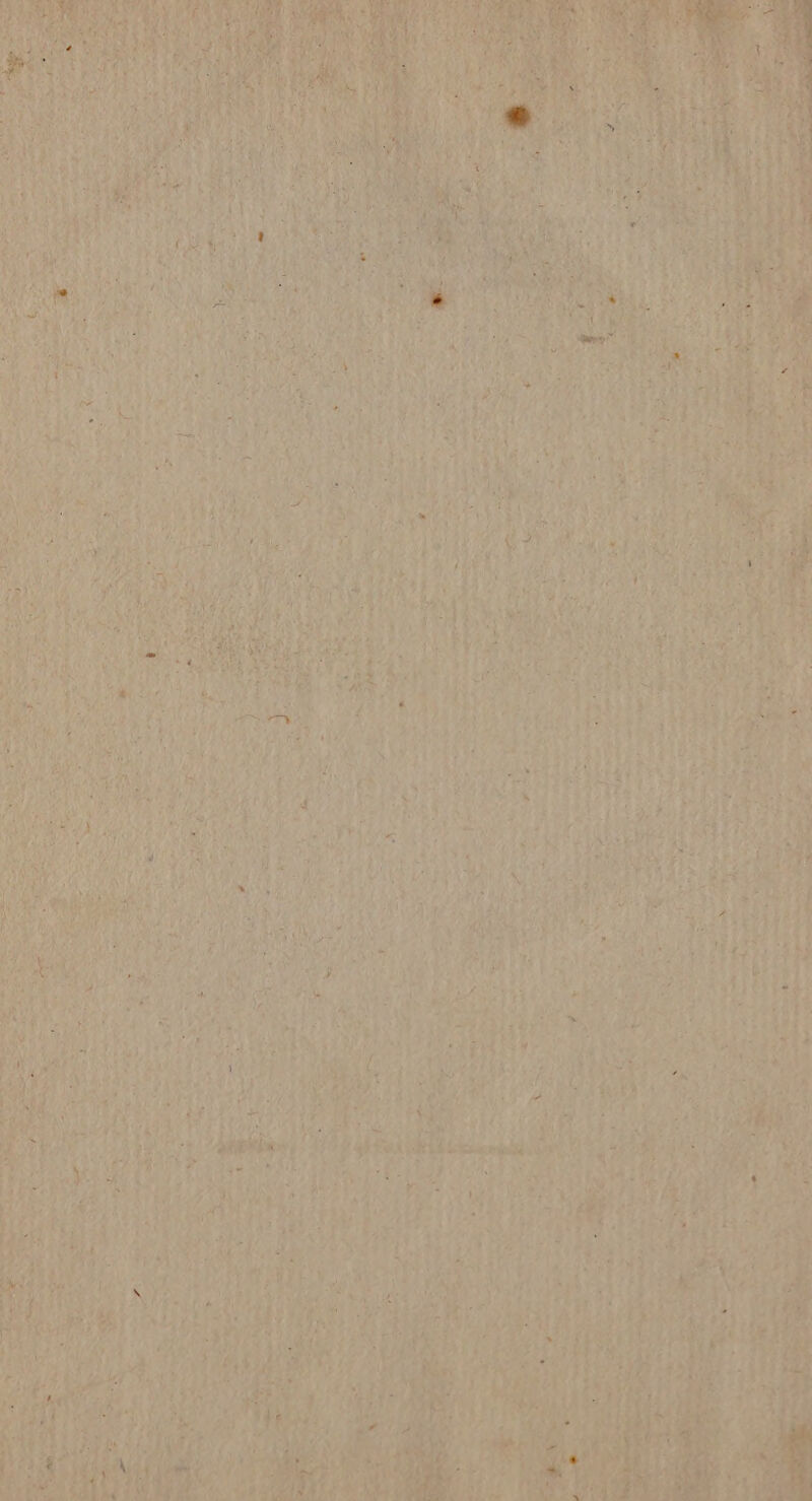 er P3—G sa NE é TER. PE Tee nm Le D LES. ne ere 7