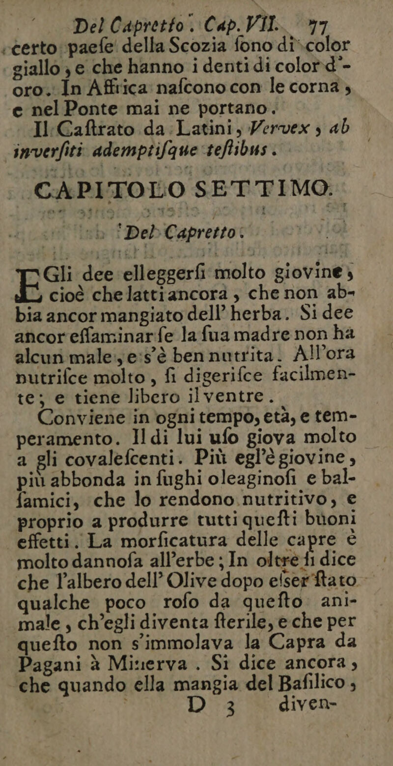 -certo: paefe della Scozia fono dicolor giallo è e che hanno i denti di color d”- oro. In Affrica nafcono con le corna , e nel Ponte mai ne portano. Il: Caftrato da:Latini, Wervex 3 ab inverfiti ademptifque teftibus. CAPITOLO SETTIMO. bi Del Capretto | Loi Gli dee elleggerfi molto giovine) y cioè chelattiancorà , che non ab- bia ancor mangiato dell’ herba. Si dee ancor effaminarfe la fua madre non ha alcun male. e:s'è ben nutrita. Allora nutrifce molto , fi digerifce facilmen- te; e tiene libero ilventre. Conviene in ogni tempo, età, e tem- peramento. Il di lui ufo giova molto a gli covalefcenti. Più egl’è giovine, più abbonda in fughi oleaginofi e bal- famici, che lo rendono.nutritivo, e proprio a produrre tutti quefti buoni effetti. La morficatura delle capre è molto dannofa all’erbe ; In oltre fi dice che l'albero dell’ Olive dopo elser tato qualche poco rofo da quefto ani- male , ch’egli diventa fterile, e che per quefto non s’immolava la Capra da Pagani à Minerva . Si dice ancora, che quando ella mangia del Bafilico ; D 3° diven