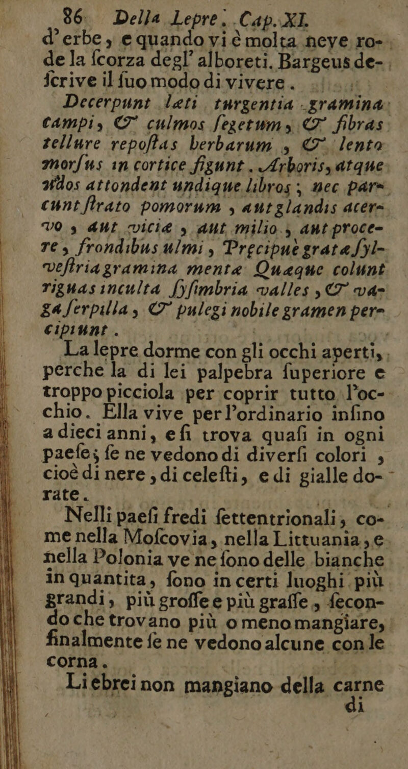 ’erbe ; e quando vi ê molta neye ro-, de la fcorza degl’ alboreti. Bargeus de- icrive ilfuomododivivere. «i. Decerpunt Leti. turgentia -gramina: campi, &amp;° culmos fegetums € fibras. tellure repoftas berbarum ; € lenta morfus in cortice figunt. Arboris,atqne dos attondent undique.libros ; nec pars cunt flrato pomorum , autglandis acer= VO s aut vici à ant milio.) ant proce- res frondibusulmi , Precipuegratefyl- veftriagramina menta: Quaque colunt riguasinculta fyfimbria valles ,€7 va- za Jerpilla, © pulegi nobile gramen pere cipiunt . | AY! La lepre dorme con gli occhi aperti, perche la di lei palpebra fuperiore e troppo picciola per coprir tutto l’oc- chio. Ella vive perl’ordinario infino adieci anni, efi trova quafi in ogni paefe; fe ne vedonodi diverfi colori , cioè di nere ; di celefti, e di gialle do- - rate. La + Nelli paefi fredi fettentrionali, co- me nella Mofcovia, nella Littuania , e. nella Polonia ve ne fono delle bianche inquantita, fono incerti luoghi. più grandi, piùgroffee più graffe, fecon- do che trovano più o meno mangiare, finalmente fe ne vedono alcune con le corna. | è Liebreinon mangiano della carpe | di