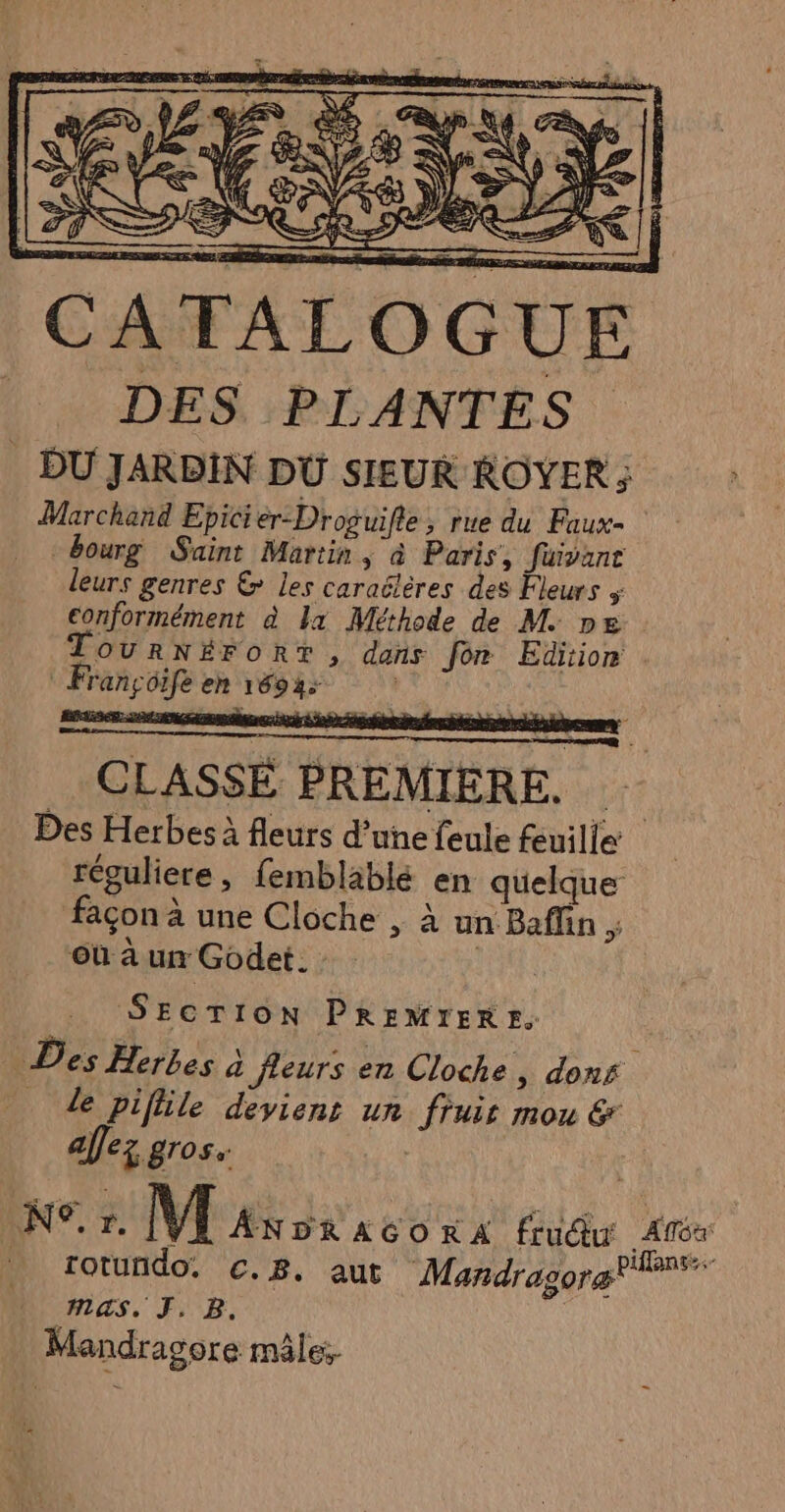 le Y LS “ ®: k Æ 2: j Je &gt; VÉ 7] à” ! DES PLANTES . DU JARDIN DU SIEUR ROYER ; Marchand Epicier-Droguifte, rue du Faux. bourg Saint Martin, à Paris, fuivant leurs genres &amp; les caraëlères des Fleurs + conformément à Lx Méthode de M. DE TOURNÉFORT, dons for Edition Françoife en 1694: À p . ; L : 9 ro: ” fe ‘ CLASSÉ PREMIERE. Des Herbes à fleurs d’une feule feuille réouliere , femblablé en quelque façon à une Cloche , à un Baffin où à un Godet. : : SECTION PREMIERE. Des Herbes à feurs en Cloche, dons _ de piflile deviens un fui mou &amp; affez gros. | MAS, J. B. Mandragore mâle,