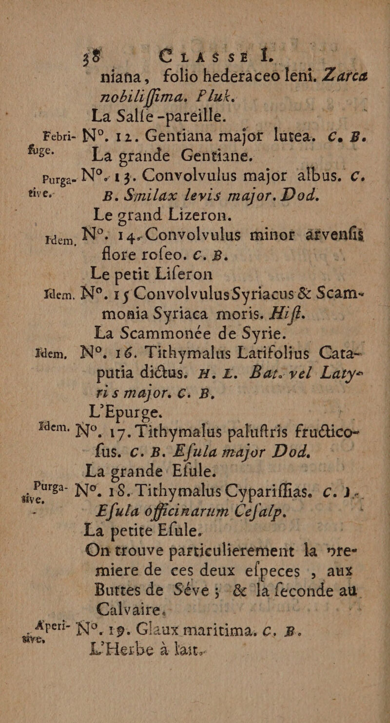 niana, folio hederaceo leni. Zarea nobiliffima. Pluk. La Salfe -pareille. Febri- N°, 12. Gentiana major lutea. Ce B. fige, La grande Gentiane. Purga N°. 13. Convolvulus major albus. c. tive, B. Smilax levis major. Dod. Le srand Lizeron. rdem. N°: 14. Convolvulus minor âtvenfis flore rofeo. €. 8. _Le petit Liferon fem. N°. 1 $ ConvolvulusSyriacus &amp; Scam- monia Syriaca moris. Hifi. La Scammonée de Syrie. | dem, N°. 16, Tithymalus Latifolius Cata- putia diêtus. H.z. Bar. vel Lary- ris major. €. B. L’Epurge. Rem. N°, 17. Tithymalus paluftris Ftitidet fus. c. B. Efula major Dod. | La grande Efule. ie 8 N°. 18. Tithymalus Cypariffias. c. 1 D Efula officinarum Cefalp. La petite Efule. On trouve particulierement la nre- miere de ces deux elpeces , aux Buttes de Sévé ; :&amp; la feconde aa Calvaire. APE N°. 19. Glaux maritima, c, 2. ï L’'Herbe à lait. s