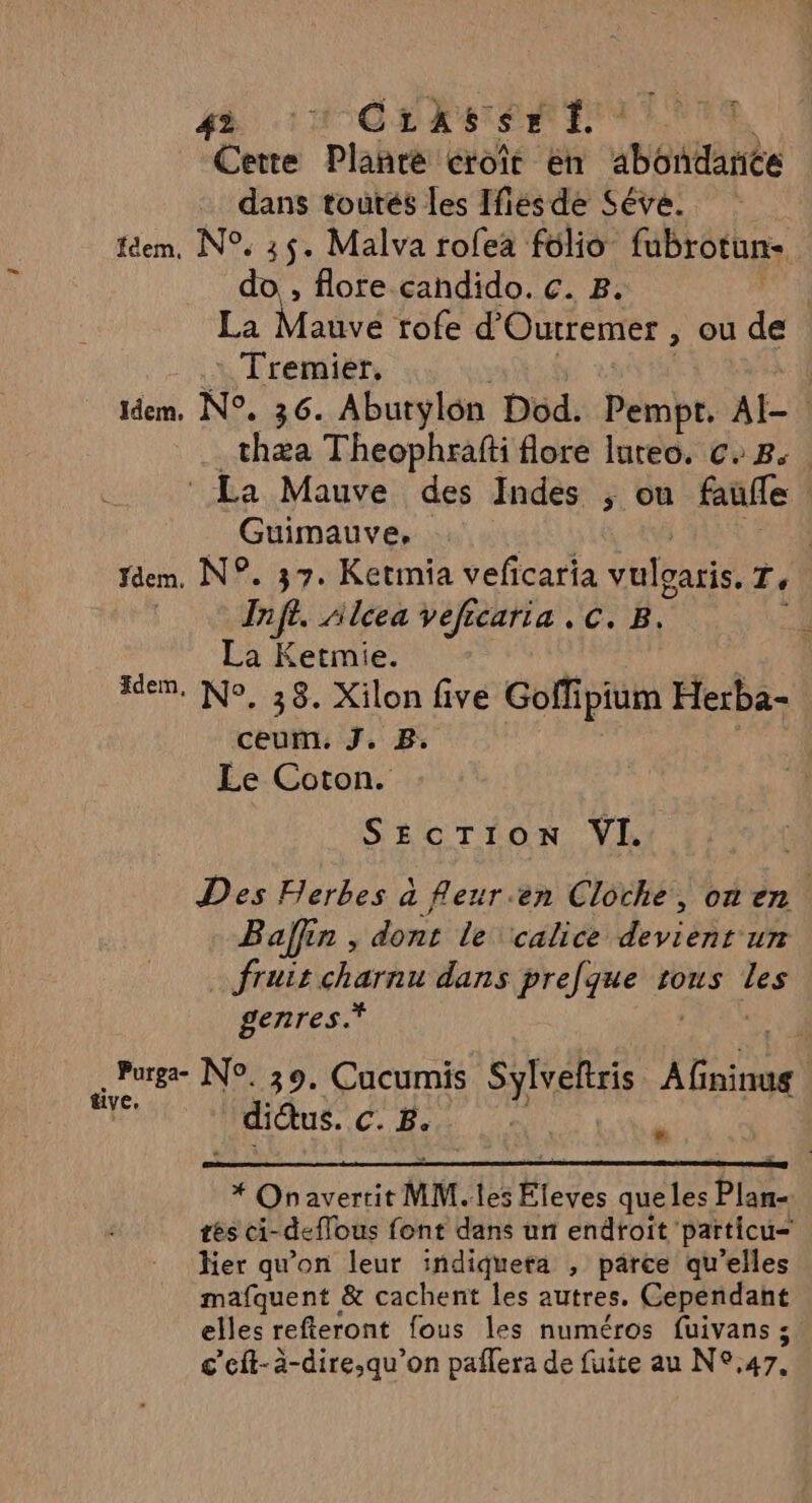 4 ° CLrASSr Là: Cette Plante croît en imébe dans toutés les Ifies de Séve. féem, N°. 35. Malva rofea folio fubrotun- , flore candido. c. B. La Mauve rofe d'Outremer , ou de : Tremier, idem, N°. 36. Abutylon Dod. Pénbe AI- thæa Theophrafti flore lureo. c. 8: | La Mauve des Indes , ou faufle Guimauve, | fdem. N°. 37. Ketimia vefcaria vulgaris. Te Pifi. Alcea veficaria , C. B. La Ketmie. fdem, No, 38. Xilon five Goffi ipium Herba- ceum, J. B: Le Coton. SECTION VI. Des Herbes à Reur.en Cloche, on en. Baffin , dont le ‘calice devient un fruit charnu dans prefque rous ne genres.* Purge- N°. 39. Cucumis Sylveltris rte FES | diâus. C. BE: * * Onavertit MN. les Éleyes que les Plan. tés ci- deffous font dans un endroit particu= her qu'on leur indiquera , parce qu’elles mafquent &amp; cachent les autres. Cependant elles refteront fous les numéros fuivans ; c’eit-a-dire,qu’on paflera de fuite au N°47.