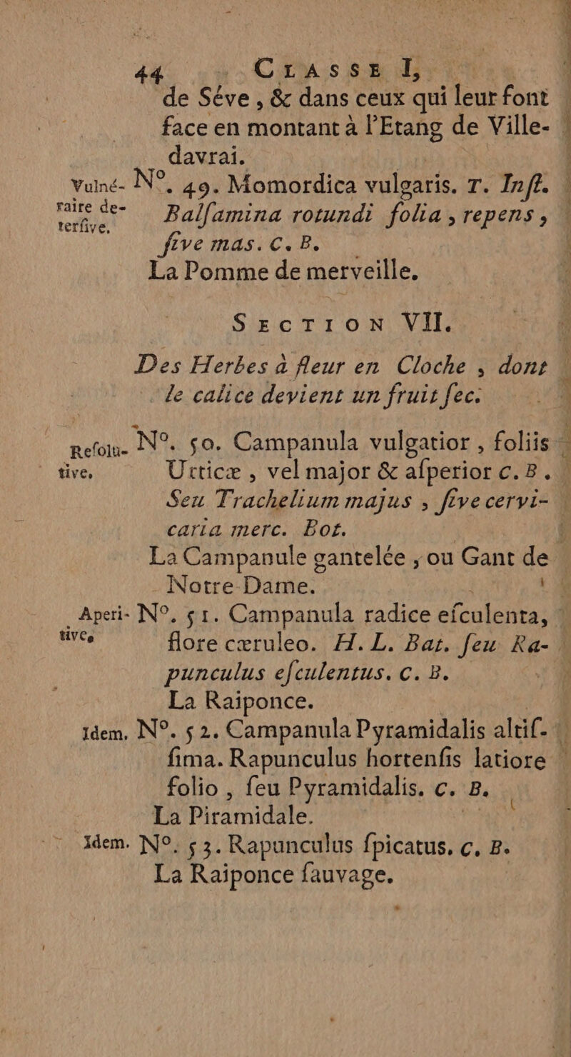 de Séve , &amp; dans ceux qui leur font davrai. vuné- N°, 49. Momordica vulgaris. T. Inff. faire de- er Palfamina rotundi folia, repens, five mas. C. B. La Pomme de merveille, SECTOR VII. Des Herbes a fleur en Cloche ; dont le calice devient un fruit [ec. Reñou. N°. $0. Campanula vulgatior , foliis be caria merc. Bof. punculus efeulentus. c. B. La Raïiponce. folio , feu Pyramidalis. c. B La Piramidale. idem. N°. ç 3. Rapunculus fpicatus, ç, 8. La Me fauvage. +