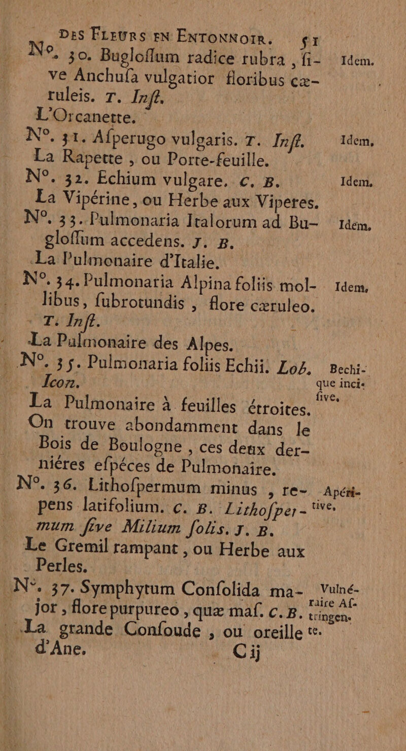 Ne, 30. Bugloffum radice rubra ,fi- 1aem. ve Anchufa vulgatior floribus cæ- ruleis. T. Inf£. | L'Orcanette. N°. at, Afperugo vulgaris. 7. Jnfi. llem, La Rapette , ou Porte-feuille. N°. 32. Echium vulgare, C. 8. Idem La Vipérine, ou Herbe aux Viperes. N°. 33. Pulmonaria Italorum ad Bu- tdem, gloffum accedens. 7. 2. La Pulmonaire d'Italie. . N°. 34. Pulmonaria Alpina foliis mol- 1dem dibus, fubrotundis , flore cæruleo. IT In fr. La Pulmonaire des Alpes. . N°. 35. Pulmonaria folis Echii: Log. Bechi- . Icon. ip La Pulmonaire à feuilles étroites. On trouve abondamment dans le Bois de Boulogne , ces deux der- _ nicres efpéces de Pulmonaire. N°. 36. Lithofpermum minus &gt; [C- Apéni- pens latifolium. c. 8. Lirhofper- ve mum fève Milium folis. J. B. | Le Gremil rampant , ou Herbe aux . Perles, | N°. 37. Symphytum Confolida ma- ta De jor , flore purpureo, quæ mal. C.B. tiingen. La grande Confoude , ou oreille tr.