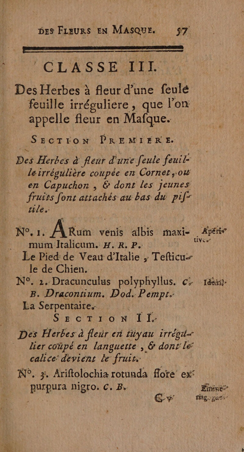 :CLASSESFET Des Herbes à fleur d’une feule feuille irréguliere, que l’on appelle fleur en Mafque. SECTION PRE MIERE. Des Herbes à fleur d'une feule feuil- le irrégulière coupée en Cornet ,.ow en Capuchon , &amp; dont les jeunes fruits font attachés au bas du pif- ile. N°. 1. À Rum venis albis maxi Apéri .. mumltalicum. H.R. P. RUE _ Le Pied de Veau d'Italie ; Tefticu _ le de Chien. MANS N°. 2. Dracunculus polyphyllus. c&gt; ré. B. Draconnium. Dod. Pempt. La Serpentaire.. led SECTION Il. Des Herbes à fleur en tüyau irréod&lt; _ dier coüpé en languette , &amp; donr le calice: devient Le fruis N°. x, Ariftolochia rotuada floré ex° pUrpura nigro, C. B, Énire Fo GY Hague