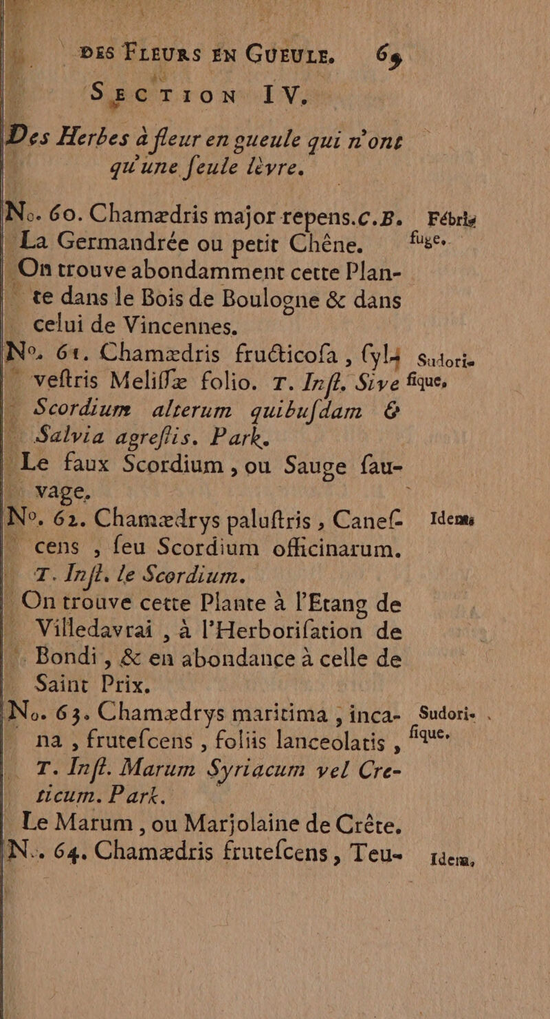 Des Herbes à fleur en gueule qui n'ont # qu'une feule lèvre. 44 SECTion IV, Nc. 60. Chamædris major repens.c.B. Fébris . La Germandrée ou petit Chêne. TR - On trouve abondamment cette Plan- | te dans le Bois de Boulogne &amp; dans . celui de Vincennes. N°. Gt. Chamædris fru@icofa , (44 sutorte | veftris Meliffæ folio. T. Infl. Sive fique, n Scordiurm alterum quibufdam € L Salvia agreflis. Park. L Le faux Scordium , ou Sauge fau- ll vage. î No. 62. Chamædrys paluftris , Canef Idem | cens , feu Scordium officinarum. LT. Inf£, le Scordium. | On trouve cette Plante à l’Etang de | Villedavrai , à l’Herborifation de |. Bondi, &amp; en abondance à celle de Saint Prix. N:. 63. Chamædrys maritima , inca- Sudori- | ll na, frutefcens , foliis lanceolatis , fu T. Inft. Marum Syriacum vel Cre- LL sicum. Park. : | Le Marum , ou Marjolaine de Crête, É- 64. Chamædris frutefcens, Teu- rem,