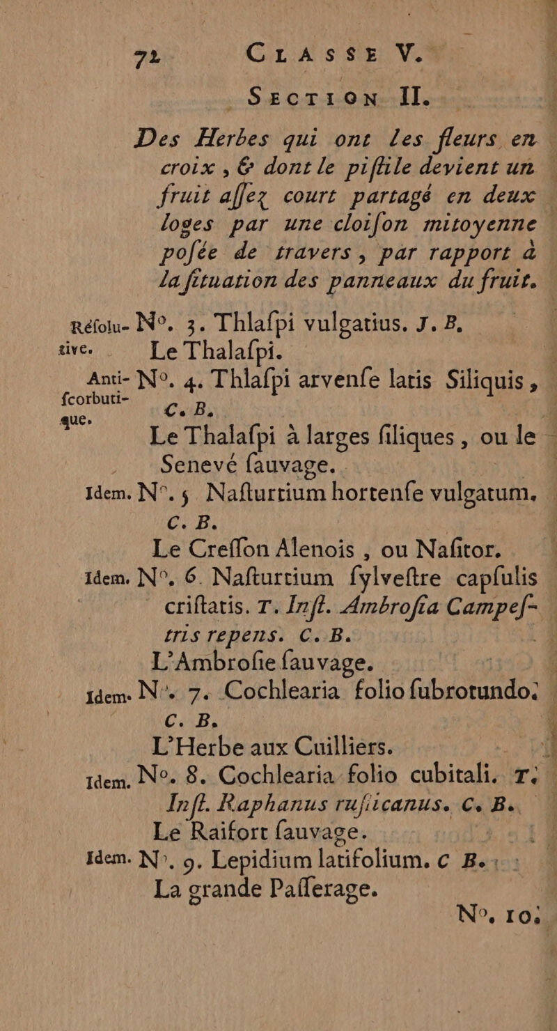 | SECTION II. Des Herbes qui ont Les fleurs en! croix , 6 dont le pifhle devient un … fruit aflez court partagé en deux. loges par une cloifon mitoyenne polée de travers, par rapport à : La fituation des panneaux du fruir. Réfol- N°. 3. Thlafpi vulgatius. J. 8. tive. Le Thalafo À. LE N°. 4 Thlafsi arvenfe laris Siliquis, » corbuti- vi LR ; a Le Thalafpi à a larges filiques , ou le . Senevé fauvage. | Idem. N°. Nafturtium hortenfe Ses C. B. Le Creffon Alenois , ou Nafitor. idem. N°, 6. Nafturtium fylveftre capfulis criftatis. T. Inft. Ambrofta CE | ÉTLS repens. C.B. ï L’Ambrofe fauvage. F tdem. N°. 7. Cochlearia folio RE C. B. : L’Herbe aux Cuilliers. il dem, N°. 8. Cochlearia folio cubitali. T. 4 Inff. Raphanus rufiicanus. CB. \ Le Raïfort fauvage. 14 Idem. N°, o. Lepidium latifolium. C Res: La grande Pañlerage. N°, 10...