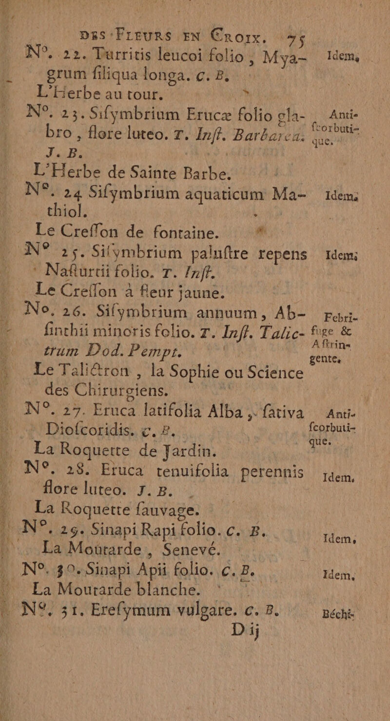 DRS FLEURS EN Croix. Vs N°. 22. Turritis leucoi folio , Mya- Idem grum filiqua longa. c. 8, L’Éerbe au tour. Lu N°. 23. Sifymbrium Erucæ folio ola- : en 4 | £OTDUtL- bro , flore luteo. T. Inff. Barbarca. dico Juil: L'Herbe de Sainte Barbe. N°. 24 Sifymbrium aquaticum Ma- 1dem: thiol.  Le Creffon de fontaine. 1 N° 25. Silymbrium paluftre repens td * Nafurtii folio. T. /nff. Le Creffon à fleur jaune. No, 26. Sifymbrium annuum, Ab- Febri= finchii minoris folio. Tr. Inff, Talic- nee trum Dod. P EMpi, | An ! Le Taliétron , la Sophie ou Science des Chirurgiens. HAT N°. 27. Eruca latifolia Alba | fativa Anti. Diofcoridis. ©. 2. | FANS La Roquette de Jardin. Lac N°. 28. Eruca renuifolia perennis Idem, flore luteo. J.8. La Roquette fauvage. | : IN°. 26. Sinapi Rapi folio. c. 8. FN A La Moutarde , Senevé. N°. 30. Sinapi Api folio. c. B, LA La Mourarde blanche.