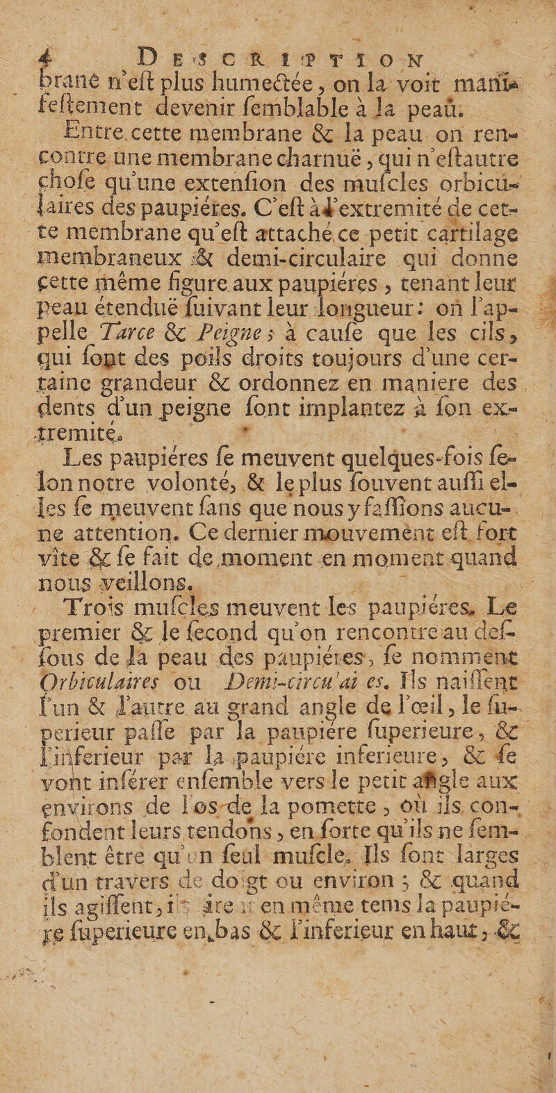 _feftement devenir femblable à la peañ. . Éntre.cette membrane &amp; la peau on ren contre une membrane charnuë , qui n’eftautre chofe qu'une extenfion des mufcles orbicu= laires des paupiéres. C’eft sh cet- te membrane qu’eft attaché ce petit cartilage membraneux :&amp; demi-circulaire qui donne cette mème figure aux paupiéres , tenant leur peau étendué fuivant leur longueur: où l'ap- pelle Tarce &amp; Peigne ; à caule que les cils, qui font des poils droits toujours d’une cer- dents d'un peigne font implantez à fon ex- Hem « M | ù Les paupiéres fe meuvent quelques-fois fe- lonnotre volonté, &amp; le plus fouvent aufñii ele Nb, nous veillons.. ne” : os Trois mufcles meuvent les paupieres, Le premier &amp; le fecond qu'on rencontre au def perieur pañle par la paupiére fuperieure, &amp; vont inférer enfemble versle petit afigle aux environs de los-de la pomette , ou 1Îs con d'un travers de doigt ou environ ; &amp; quand ils agiflent,1 dre it en même terms la paupie- re fuperieure en.bas &amp; Finferieur en haut, &amp;c LE