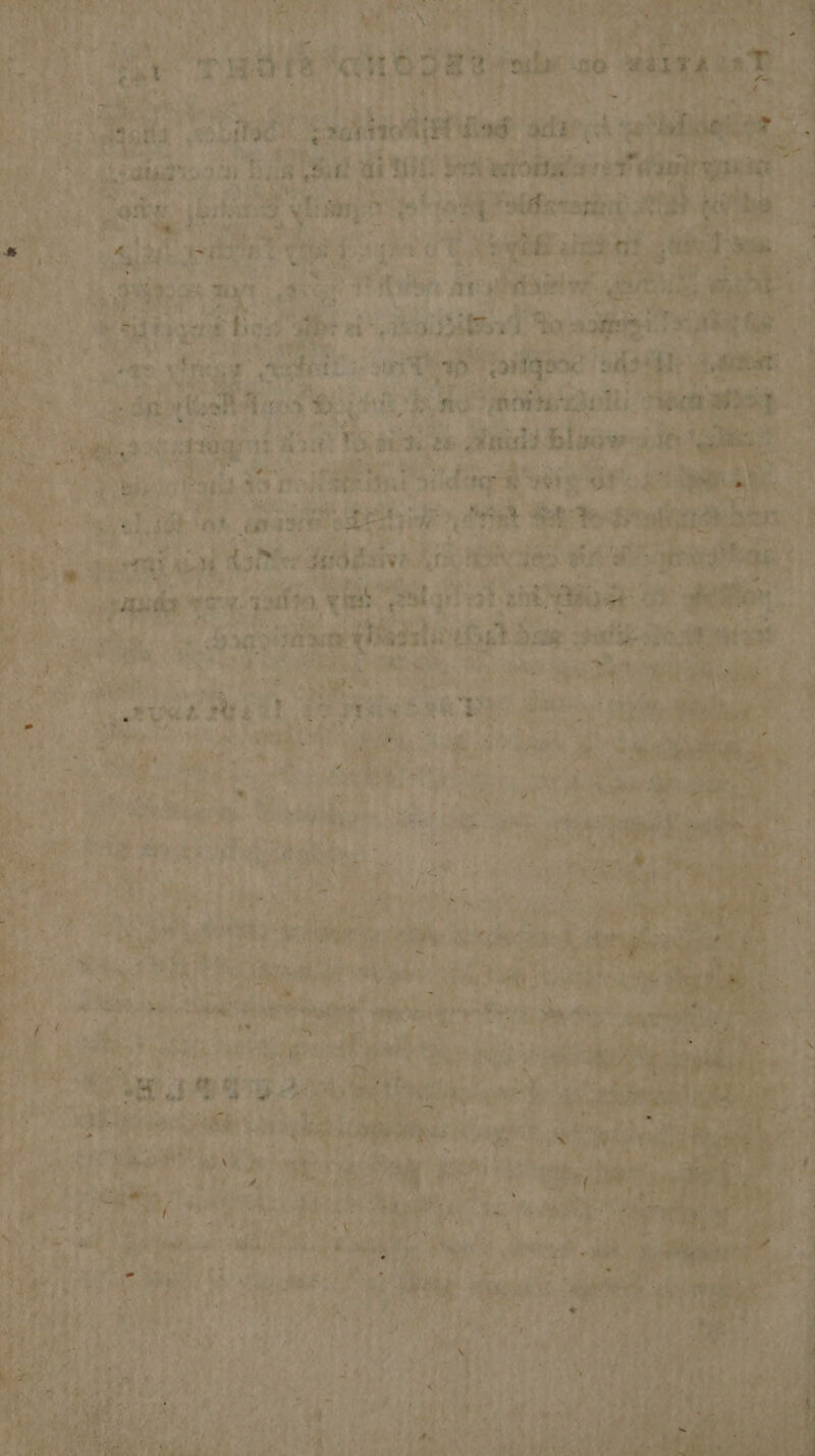 it ey meer are iff, (aE St: ais