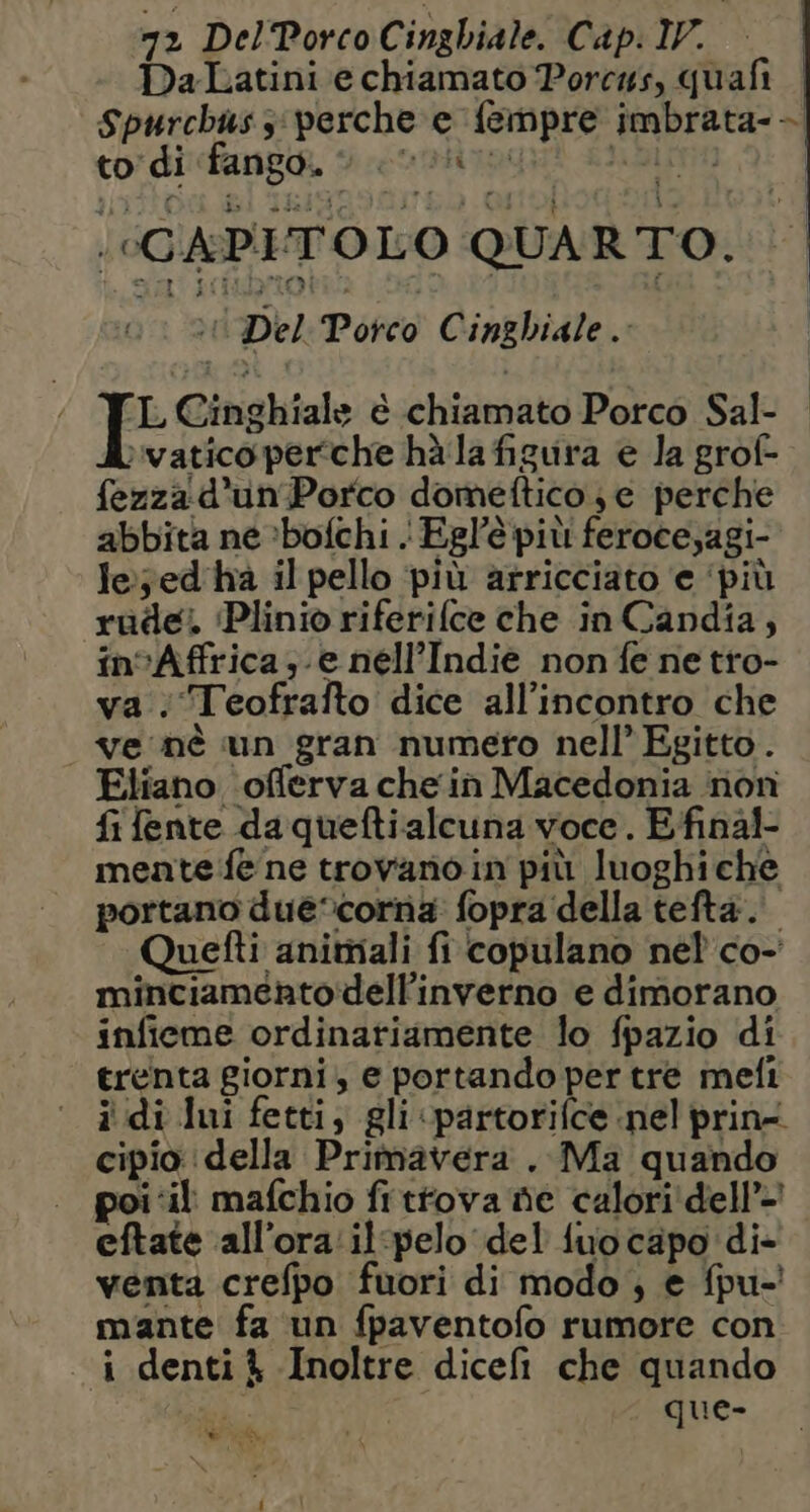Da-Latini e chiamato Porcus, quafi Spurchuss:perche e fempre imbrata- > to di fango, > i CAPITOLO QUARTO. va BA DeLPorco Cinghiale. ‘L Cinghiale è chiamato Porco Sal- ivatico perche hà la figura e la grof- fezza d'un Porco domeftico; e perche abbita ne »bofchi . Egl'è più feroce,agi- le;ed ha il pello ‘più arricciato e ‘più rude. ‘Plinio riferifce che in Candia, in°Affrica;-e nell’Indie non fe ne tro- va ;‘Teofrafto dice all'incontro che ve nè un gran numero nell’ Egitto. Eliano offerva che in Macedonia non fi fente daqueftialcuna voce. E final- mente fe ne trovano in più luoghiche portano due‘cornia fopra della tefta. Quetti animali fi copulano nel co- minciamento‘dell'inverno e dimorano infieme ordinariamente lo fpazio di trenta giorni, e portando per tre meli ‘ i di lui fetti, gli «partorifce nel prin cipio della Primavera . Ma quando poi ‘il mafchio frtfova ne calori dell’ eftate all’ora:il-pelo del fuocapo di- venta crefpo fuori di modo ; e fpu-' mante fa un fpaventofo rumore con - i denti % Inoltre dicefi che quando que- ik