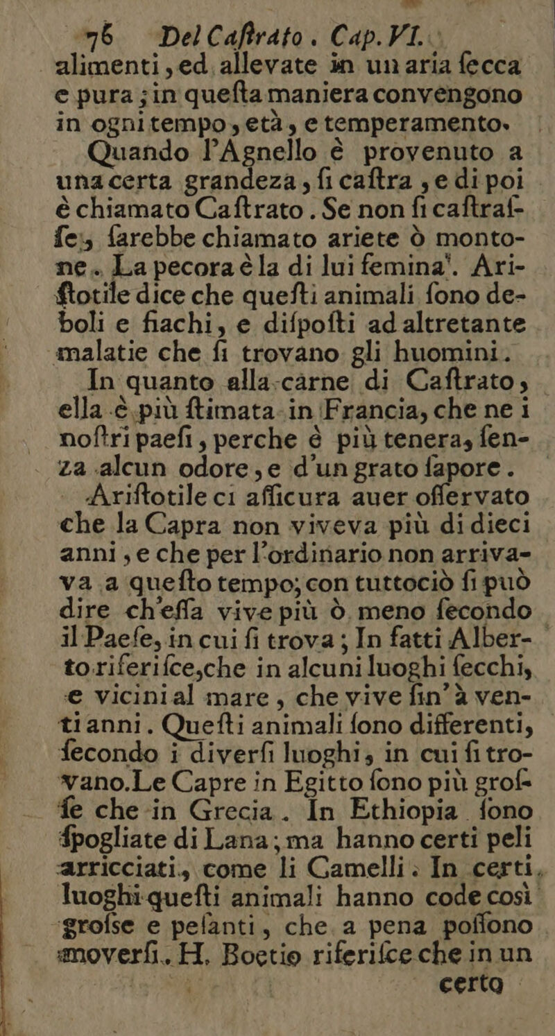 né DelCaftrato. Cap.VI. alimenti, ed. allevate in unaria fecca e pura jin quefta maniera convengono in ognitempo, età, e temperamento» Quando Agnello è provenuto a unacerta grandeza, fi caftra , e di poi è chiamato Caftrato . Se non fi caftraf- fe, farebbe chiamato ariete ò monto- ne. La pecoraèla di lui femina'. Ari- £totile dice che quefti animali fono de- boli e fiachi, e difpofti ad altretante mmalatie che fi trovano gli huomini. In quanto alla-carne di Caftrato, ella .è.più fimata-in Francia, che ne i noftri paefi, perche è più tenera, fen- za «alcun odore,e d'un grato fapore. | | Ariftotile ci afficura auer offervato che la Capra non viveva più di dieci anni ; e che per l'ordinario non arriva» va .a quefto tempo; con tuttociò fi può dire ch'effa vive più è. meno fecondo il Paefe, in cui fi trova; In fatti Alber- toriferifce,che in alcuni luoghi fecchi, ‘e vicinial mare, che vive fin’ à ven- tianni. Quefti animali fono differenti, fecondo i diverfi luoghi; in cui fi tro- vano.Le Capre in Egitto fono più grof- fe che in Grecia. In Ethiopia fono fpogliate di Lana; ma hanno certi peli “arricciati, come li Camelli. In certi, luoghi-quefti animali hanno code così” ‘grofse e pelanti, che. a pena poffono smoverfi. H. Boctio riferilce che inun ; | certo .