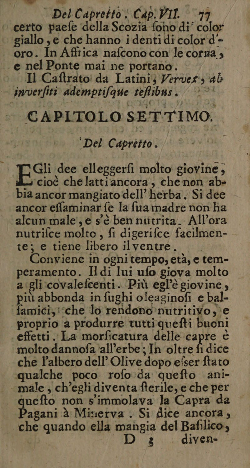 Del Capretto i Cap VIL ‘17 ‘certo paefe ‘della Scozia foho di’ colo giallo je che hanno identi di color d- oro. In Affrica nafcono con le corna è e nel Ponte mai ne portano. © Il Caftrato! da Latini} Verver ab inverfiti ademptifque teffibus. © © CAPITOLO SETTIMO. ‘Del € apretto ] Gli dee elleggerfi molto giovine; cioè chelattiancora, che non abe bia ancor mangiato dell’ herba. Si dee ancor effaminar fe la fina madre non ha alcun male’, e s'è ben niitrita. Allora nutrifce molto , fi digerifce facilmen- te; e tiene libero ilventre. Conviene in ognitempo,età, e tem- peramento. Idi lui ufo giova molto a:gli:covalefcenti. Più egl’è giovine, più abbonda in fughi oleaginofi e bal- famici, che lo rendono »nutritivo,;e proprio 2 produrre tuttiquefti buoni | effetti. La morficatura delle capre è molto dannofa ‘all’erbe ; In oltre fi dice che Palbero dell’ Olive dopo efser ftato qualche poco rofo:da quefto ani- «male, ch’egli diventa fterile, e che per quefto non s'immolava la Capra da Pagani à Minerva . Si dice ancora, che quando ella mangia del Bafilico,