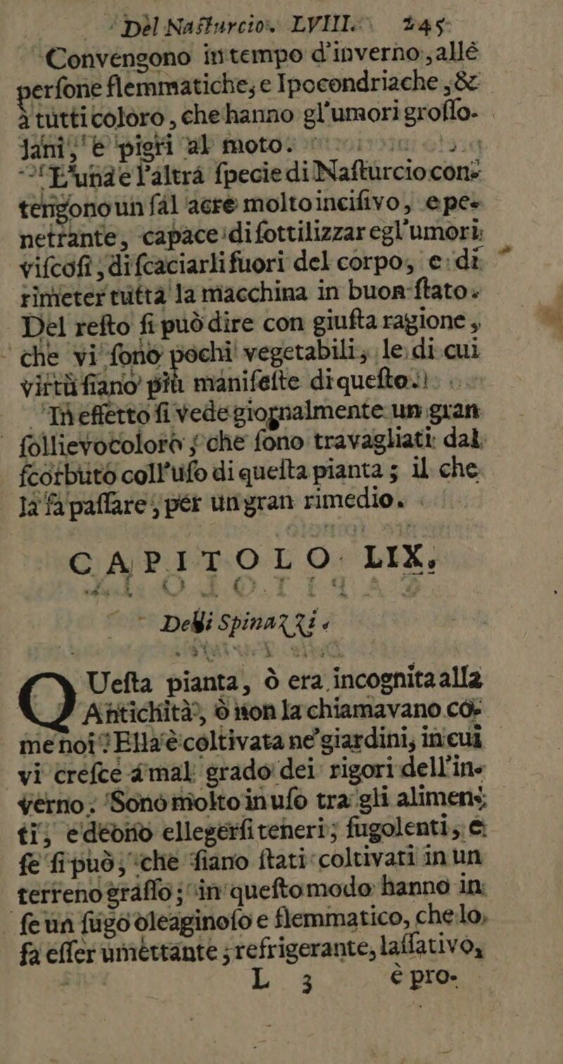 Convengono intempo d'inverno, allé erfone flemmatiche; e Ipocondriache s&amp; Jai ie ‘pigri al moto. noci ‘lE'unde Paltrà fpecie di Nafturcio con: erigono un fal acre moltoincifivo, e pe+ netrante, ‘capace:di fottilizzar egl’umori; vifcofi jdifcaciarlifuori del corpo, edi rinieter tuttà'la macchina in buon-ftato. Del refto fi puòdire con giufta ragione , * che vi fono pochi vegetabili; le. di cui vittùfiano pîù manifefte diquefto.) ’Ieffetto fi vede giopnalmente un gran | follievotolotà sche fono travagliati: dal fectbuto coll’ufo di queita pianta ; il che 1a fa'paflare$ pér ungran rimedio. . CAPITOLO. LIX, ERE Deli SpinaZRi è Uefta pianta, ò era incognita all2 Atitichità?, è non la chiamavano cò. menoiEllaè coltivata ne’ giardini, inicui vi crefcé @mal grado dei: rigori dell'in verno: Sono molto inufo tra'gli alimens. ti; edecito ellegerfiteheri; fugolenti;: e fe fipuò; ‘che fiano ftati coltivati inun terreno graffo; “in'queftomodo hanno in ‘feun fivodleaginoto e flemmatico, chelo, fa éflerumettante ; refrigerante, laffativo, - 3 è pro»