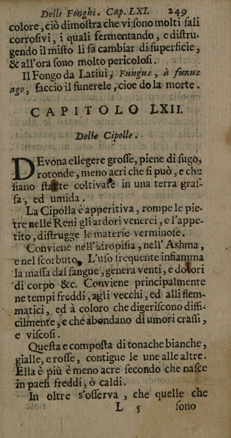 colore; ciò dimoftra che vifono molti fali corfofivi; i quali fermentando ; e diftru. gendo îl mifto li fà cambiar:difuperficie ; gr all’ora fono molto pericolofi ; . > |. Il Fongo da LatiuiyFubges, è fimus ago; faccio il funerele scioe dola moite. CAPITOLO LIL «fithIiht I Delle Cipolle». Dios ellegere groffe, piene difugò, 7 rotonde; meno ‘acri che fi può, e che fiano. ftatte coltiva@è in una terra graf- fay' ed'umida. 0 > Li La Cipolla è'apperitiva , rompe le pie- tre nelle Reni gliardori venerei , e l'appe- ‘tito, diftrugge 16materie verminofe, ‘ *Cofiviene nél’idropifia , nell’ Ashma, “e nel fcorbutog L'ufo frequente infiamma | fa maffa dal fangue', genera venti, e dofori . ‘di corpo ‘&amp;c. Conviene principalmente ne tempi freddi; agli vecchi; ed. alli flem- cilmentee chéabondano diumori crafli , e vifcofi. î Quefta e compofta ditonache bianche, gialle, eroffe, contigue le une alle altre. Ella è più è meno acre fecondo ‘che nafte în pacfi freddi; ò caldi. ti Val ‘In oltre ‘s'offerva , che' quelle che pori Lo 3°.