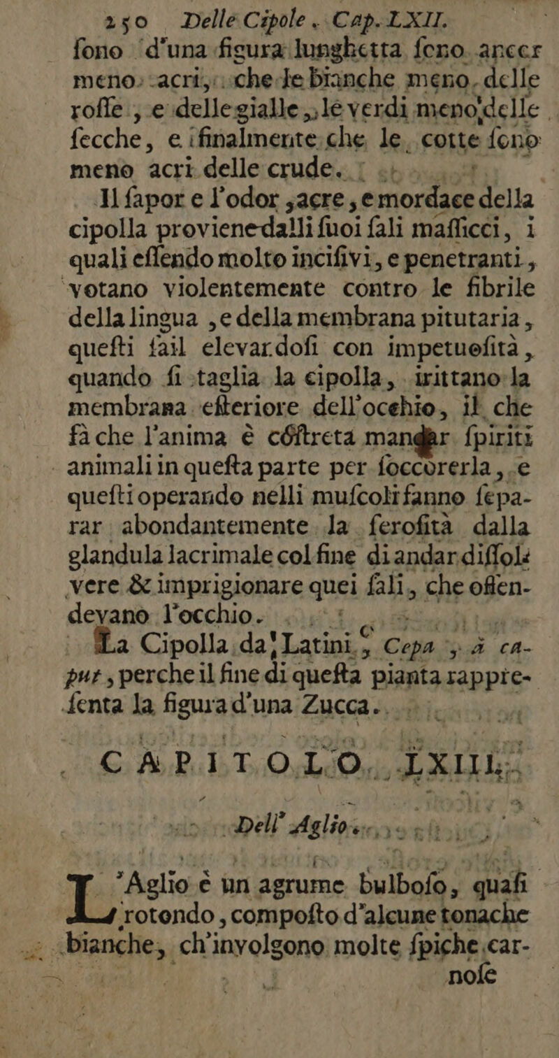 fono ‘d'una fisura lunghetta feno. ancer meno. acri; vche-te bianche meno, delle roffe.; e dellegialle 1é verdi meno idelle , fecche, e ifinalmente che le. cotte fono meno acri delle crude. : .. Jlfapor e l’odor ;acre; Prende 1 della cipolla provienedalli fuoi fali maflicci, i quali effendo molto incifivi, e penetranti, della lingua ,e dellamembrana pitutaria, quefti {ail elevardofi con impetuefità , quando fi.taglia. la cipolla, irittano:la membrana efteriore dell’ocehio, il che fà che l’anima è c@itreta mangar ia quefti operando nelli mufcoli fanno CE rar abondantemente ..la. ferofità dalla glandula lacrimale col fine diandardiffoli ‘vere &amp; imprigionare quei fali, che offen- deyanò l’occhio. ... Ta Cipolla da! ‘Latini © Copa; pa cA- puts perche fine di quefta pianta rappie- ‘fenta la figa: una Zucca... CAPITOLO, TAL «Dell Aglioo, è? ; L Aglio è è un agrume sabaio: gut | ‘rotendo , compofto d'alcune tonache «bianche, ch' jnvolgono molte fpiche car- REGIO Port ALI OCA IA nofe