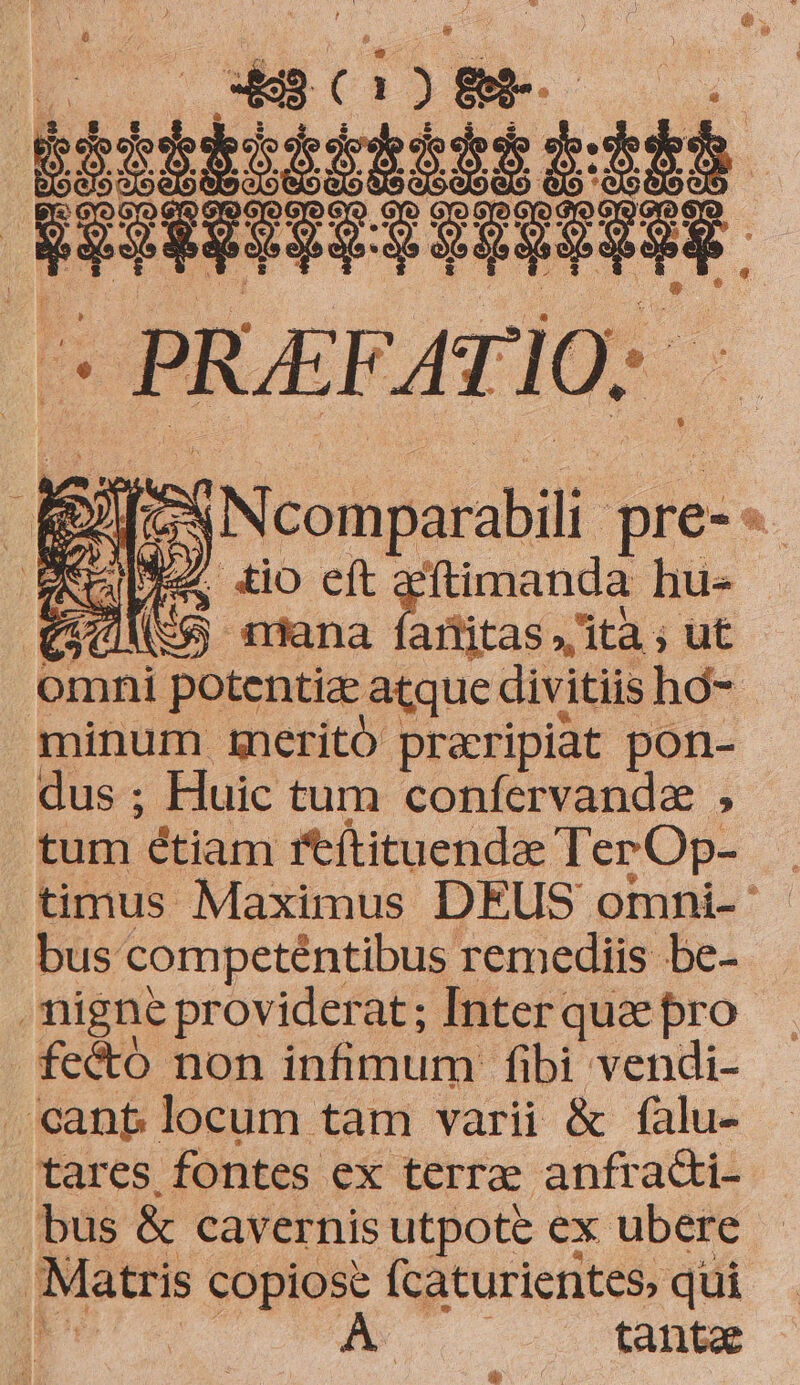 T PRETATI l0; i [CN SN comparabili pre- * E di », io. eit ftimanda hus ei uo nidana fartitas ita ; ut omni potentia atque divitiis hó- minum izneritó praripiat pon- dus ; Huic tum confervanda , tum étiam rtítituendae Ter Op- bus competéntibus remediis be- -migne providerat ; Interquepro . fecto non infimum fibi vendi- .'canb locum tam varii &amp; falu- tares fontes ex terrae anfracti- bus &amp; cavernis utpote ex ubere / atris copiose (caturientes, qui tanta e