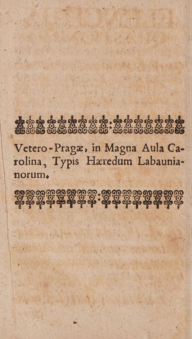 Bbbiibbibiiiiiol | Vetero - Pragz, in Magna Aula Ca- | rolina, Typis Herdnm Labaunia- j| dou ; | Midisdid uud Er | Ly ; Js LS | | 1 | Lj | |