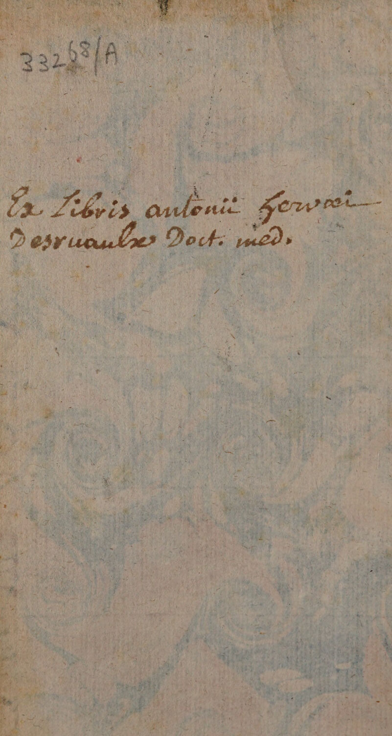 No text description is available for this image