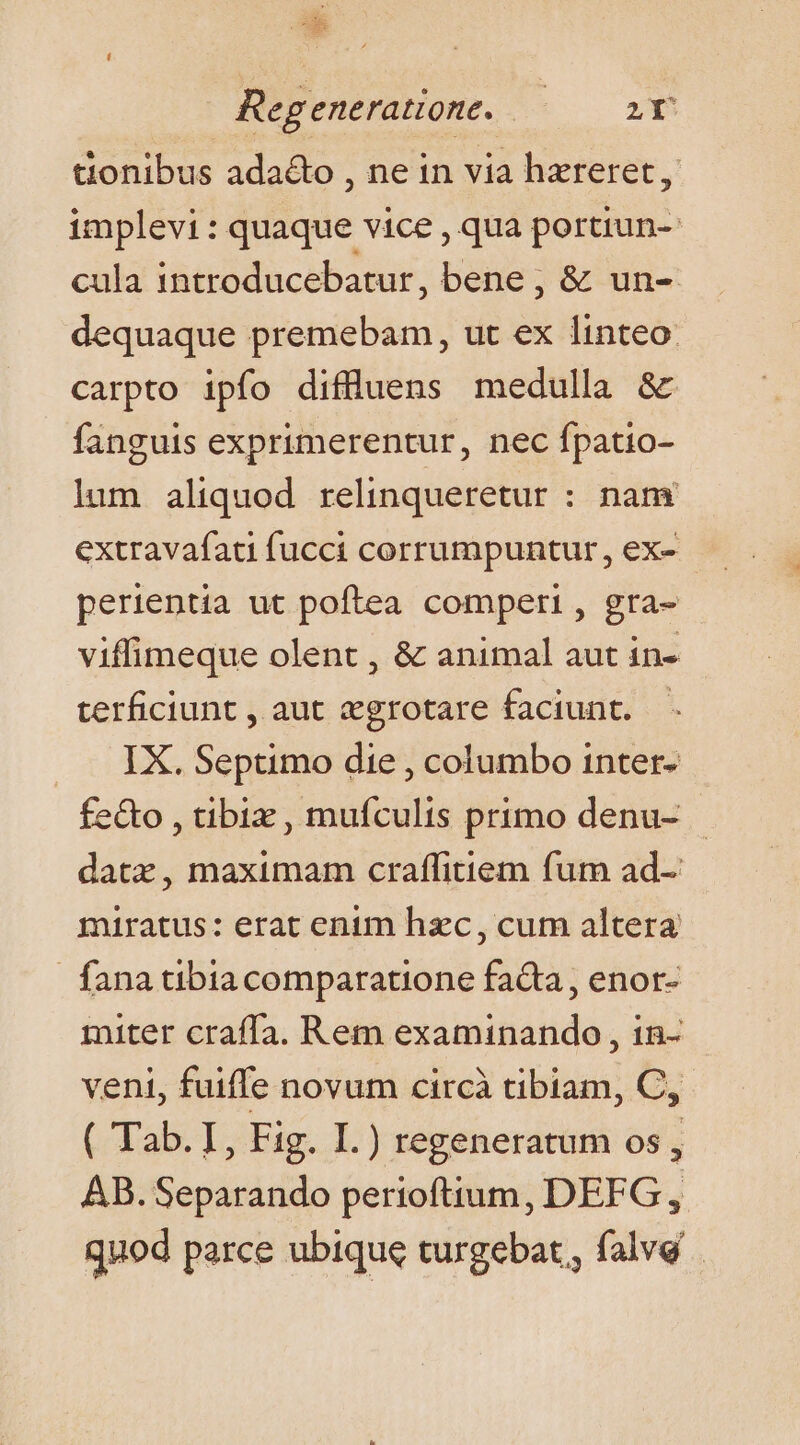 EC Regeneratione. — 2T tionibus ada&amp;o , nein via hereret, implevi : quaque vice , qua portiun-- cula introducebatur, bene, &amp; un- dequaque premebam, ut ex linteo: carpto ipfo diflluens medulla &amp; fanguis exprimerentur, nec fpatio- lum aliquod relinqueretur : nam extravafati fucci corrumpuntur, ex- perientia ut poftea comperi , gra- viffimeque olent , &amp; animal aut in- terficiunt , aut «grotare faciunt. — IX. Septimo die , columbo inter- fe&amp;o , tibiz , mufculis primo denu- datx, maximam craffitiem fum ad-: miratus: erat enim hzc, cum altera fana tibiacomparatione facta, enor- miter craffa. Rem examinando , in- veni, fuiffe novum circà tibiam, C, ( Tab. I, Fig. I.) regeneratum os, AB. Separando perioftium, DEFG, quod parce ubique turgebat, falve