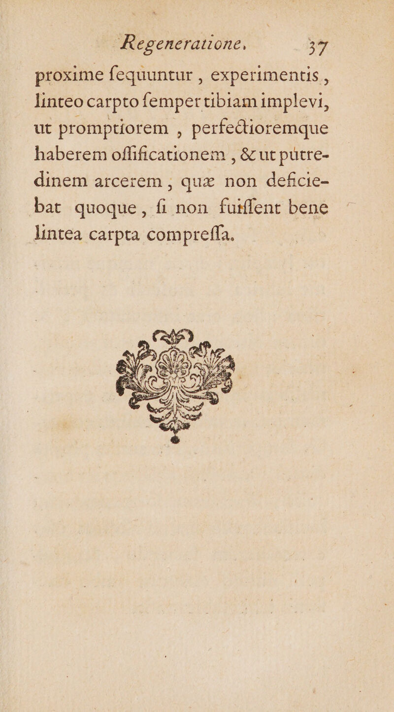 proxime fequuntur , experimentis , linteo carpto fempertibiam implevi, ut promptiorem , perfectioremque haberem offificationeim , &amp; ut pütre- dinem arcerem , que non deficie- bat quoque, fi non fuiffent bene lintea carpta compteffa.