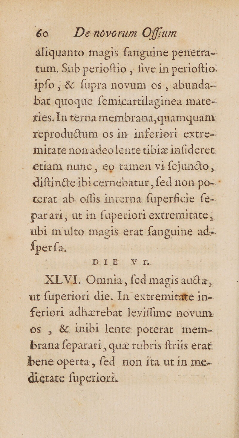 áliquanto magis fanguine penetra- tum, Sub perioflio , five in perioftio. ipfo; &amp; fupra novum os , abunda- bat quoque femicartilaginea mate- ries.In terna membrana,quamquam: reprodué&amp;tum os in. inferiori extre- initate non adeolente tibiz infideret etiam nunc, eo tamen v1 fejundo ,, diftin&amp;e ibi cernebatur, fed non po- terat ab. offis interna füperficie fe-. parari, ut in fuperiori extremitate, ubi multo magis erat fanguine ad- Íperfa. | Diu xui XLVI. Omnia, fed magis aucta; ut fuperiori die. In extremitate in-- feriori adhzrebat leviffime novum. os , &amp; inibi lente poterat. mem- brana feparari, qux rubris ftrits erat bene operta, fed non ita utin me-. dictate fuperiori. nue