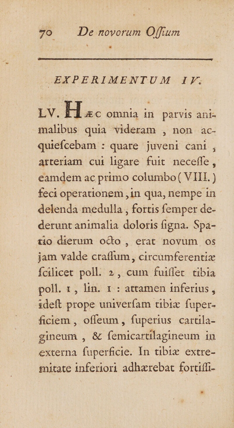 EXPERIMENTUM Iy. LV. Ha omnia in parvis ani- malibus quia videram , non ac- quiefcebam : quare juveni cani , arteriam cui ligare fuit necefle, eamdem ac primo columbo( VIII. ) feci operationem ,1n qua, nempe in delenda medulla , fortis femper de- derunt animalia doloris figna. Spa- tio dierum oco, erat novum os jam valde craffum , circamferentix fcilicet poll. 2, cum fuiffet. tibia poll. 1, lin. r : attamen inferius , ideft prope univerfam tibiz fuper- ficiem , offeum , fuperius cartila- gineum , &amp; femicartilagineum in externa fuperficie. In tibi extre- mitate inferiori adharebat fortiffi-