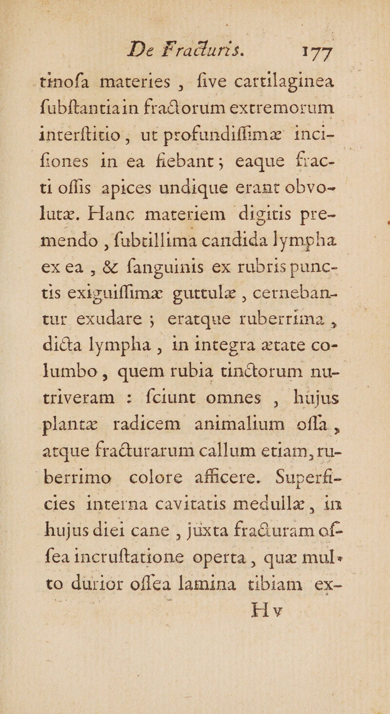 .tinofa materies , five cartilaginea fubftantiain fractorum extremorum interílito , ut profundiffima inci- fiones in ea fiebant; eaque frac- ti offis apices undique erant obvo- lutz. Hanc materiem digitis pre- mendo , fubtillima candida lympha exea, &amp; fanguinis ex rubris punc- us exiguiffimx guttulz , cerneban- tur exudare ; eratque ruberrima , di&amp;a lympha , in integra atate co- lumbo , quem rubia tinc&amp;torum nu- triveram : fciunt omnes , hüjus plantz radicem animalium offa, atque fra&amp;turarum callum etiam, ru- berrimo colore afficere. Superfi- cies interna cavitatis medullz , in hujus diei cane , jüxta fra&amp;uram of- fea incruftatione operta , quz mul« to durior offea lamina tibiam ex- Hv