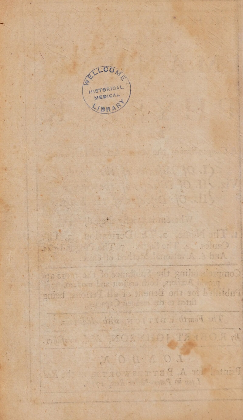 he ate got hiadougaro rakes on gies ; ant AS set iF “Hei if Fs. 5 eo a upett: AR id Seadtecrsad a ilbew oa ead at Sie ft RE Te 7 a *, hi ‘ yi “ ‘ ‘ ~ ‘ ee a EAS: OEY ce ete ‘ } <7 7 ‘i. a, ag . is ies qe ete” Ss > DAY ‘ x. se ayes A.