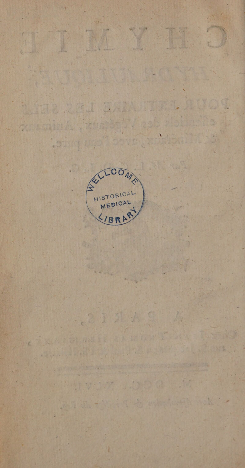 Vi 8 CERTES F +14 “ so rbe y *