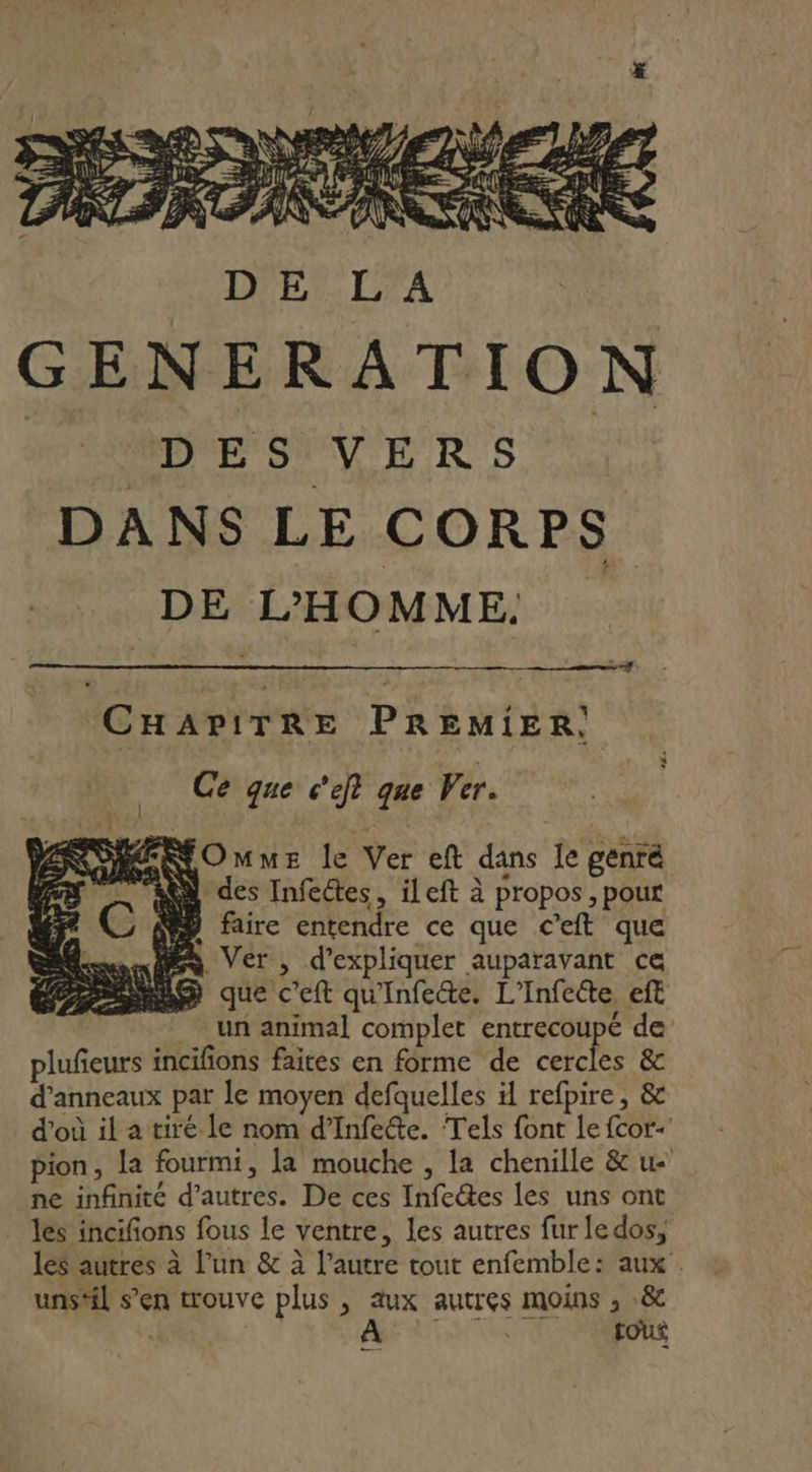 GENERATION MÉMMBRE SV ER S 0 DANS LE CORPS DE L'HOMME ec: d CHAPITRE PREMIER; + | A DAS à j AS WTA H e À FN Ce que c'ejt que Ver. OmmE le Ver eft dans Ie genré »des Infectes, ileft à propos , pour ny faire entendre ce que c’eft que Lise Ver, d'expliquer auparavant ca RAD que c’eft qu'Infete. L'Infeéte eft un animal complet entrecoupé de plufeurs incifions faites en forme de cercles &amp; d’anneaux par le moyen defquelles il refpire, &amp; d’où il a tiré le nom d’Infe&amp;e. Tels font Le fcor- pion, la fourmi, la mouche , la chenille &amp; u- ne infinité d’autres. De ces Infeétes les uns ont . les incifions fous le ventre, les autres fur ledos, les autres à l’un &amp; à l’autre tout enfemble: aux unstil s’en trouve plus , aux autres moins , .&amp; | ARE ATH TEONENSNe