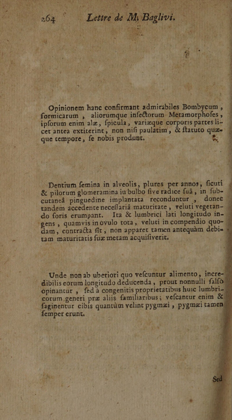 We Li PAU # * VIRE TUE A8 EN 6x À Lettre de M Baglivi. RER EU, RL Ho: a Ce 5 Pac 42 Mn 101 y Ds À 4 : : | « Fé t« “4 È : 7 % . Opinionem hanc confirmant admirabiles Bombycum , formicarum , aliorumque infeétorum Meramorphofes , ipforum enim alæ, fpicula, variæque corporis partesli- cet antea extiterint, non nifi paulatim, &amp; ftatuto quæ- ! que cempore, fe nobis produnt, + + + MS aber à . Dentium femina in alveolis, plures per annos, ficuti &amp; pilorum glomeramina iubulbo five radice fuä , in fub- cutaneÂ pinguedine implantata reconduntur , donec M tandem accedente neceflariä maturitate, veluti vegetan- do foris erumpant. Ita &amp; lumbrici lati longitudo in- ‘gens , quamvis inovulo tota, veluti in compendio quo- : dam, contracta fit, non appañfet tamen antequàm debi= tam maturicatis fuæ meram acquifiverit, KR r | Unde non ab uberiori quo vefcuntur alimento, incre- * dibilis eorum longitado deducenda, prout nonnulli falo opinantur ; fed à congenitis proprietatibus huic lumbri« corum.generi præ aliis familiaribus; vefcantur enim &amp;ch faginentur cibis quantüm velint pygmæi , pygmæi tamer femper erunt,