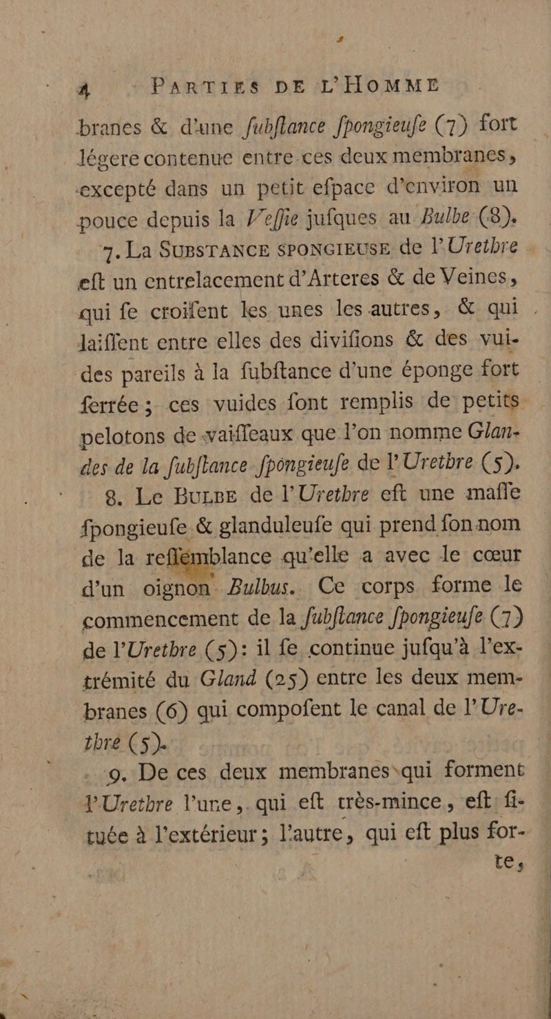 ‘ À PARTIES DE L'HOMME branes &amp; d'une fubflance fpongieufe (7) fort légere contenue entre ces deux membranes, excepté dans un petit efpace d'environ un pouce depuis la Veffie jufques au Bulbe (8), 7. La SUBSTANCE sPONGIEUSE de l'Ureibre eft un entrelacement d’Arteres &amp; de Veines, laiffent entre elles des divifions &amp; des vui- des pareils à la fubftance d’une éponge fort pelotons de vaiffeaux que l’on nomme Gian- des de la fubftance fpongieufe de l'Uretbre (5). 8. Le Buzse de l’Uretbre eft une mañle fpongieufe &amp; glanduleufe qui prend fon nom de la reflémblance qu'elle a avec le cœur d’un oignon Bulbus.. Ce corps forme le commencement de la Jubflance fpongieufe (7) de l’Uretbre (5): il fe continue jufqu’à l’ex- trémité du Gland (25) entre les deux mem- branes (6) qui compofent le canal de l’Ure- thré (5). . 9. De ces deux membranes qui forment VUretbre l’ure,.qui eft crès-mince, eft: fi- tuée à l’extérieur ; l'autre, qui eft plus for- te, ÉRRR e pe RETs