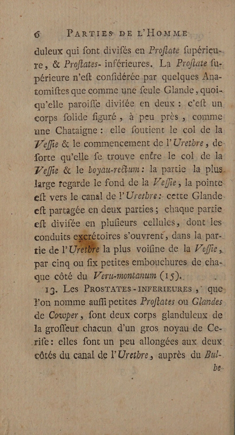duleux qui font divifés en Proflate fupérieu. re, &amp; Proftates- inférieures. La Proflate fu. périeure n’eft confidérée par quelques Ana- tomiftes que comme une feule. Glande , quoi- qu’elle paroifle divifée en deux : c'eft un corps folide figuré , à peu près , comme une Chataigne : elle foutient le col de la T'effie &amp; le commencement de l'Uretbre, de: forte qu’elle fe trouve entre le col de la V'effie &amp; le boyau-reltum: la paitie la plus large regarde le fond de la Feffie, la pointe eft vers le canal de lUrerbre:. cette Glande. eft partagée en deux païties; chaque partie. eft divifée en plufeurs cellules, dont les conduits exerétoires s’ouvrent, dans la par- tie de l'Uréibre la plus voifine de la Zuffie. par cinq ou fix petites embouchures de cha- que côté du Peru-montanum (15)... ‘19. Les PROSTATES-INFERIEURES ,‘ que: Yon nomme auff petites Projtates où Glandes de Cowper, font deux corps glanduleux de la groffeur chacun d'un gros noyau de Ce- zife: elles font un peu allongées aux deux | côtés du canal de l'Ureibre, auprès du Bul-. be.