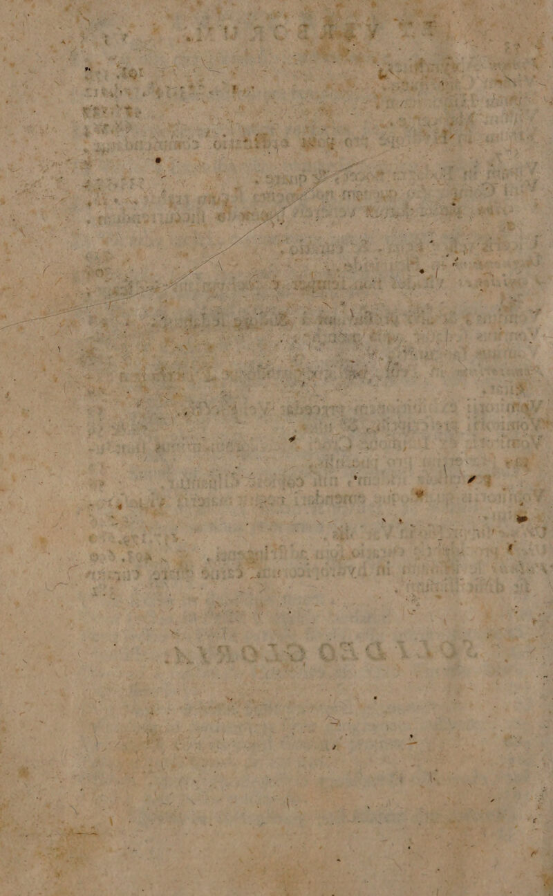 TAL B ek RP EM um. ^. Ar i ; - . x. - ^ ^ ». , LA CCS