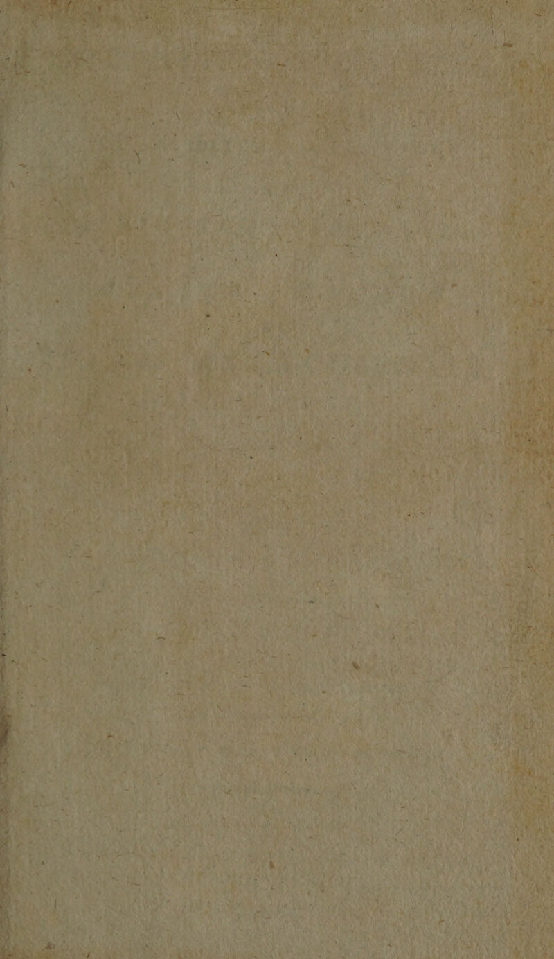 A re wea oat) te wi SMa Vin, Pal Ey in if