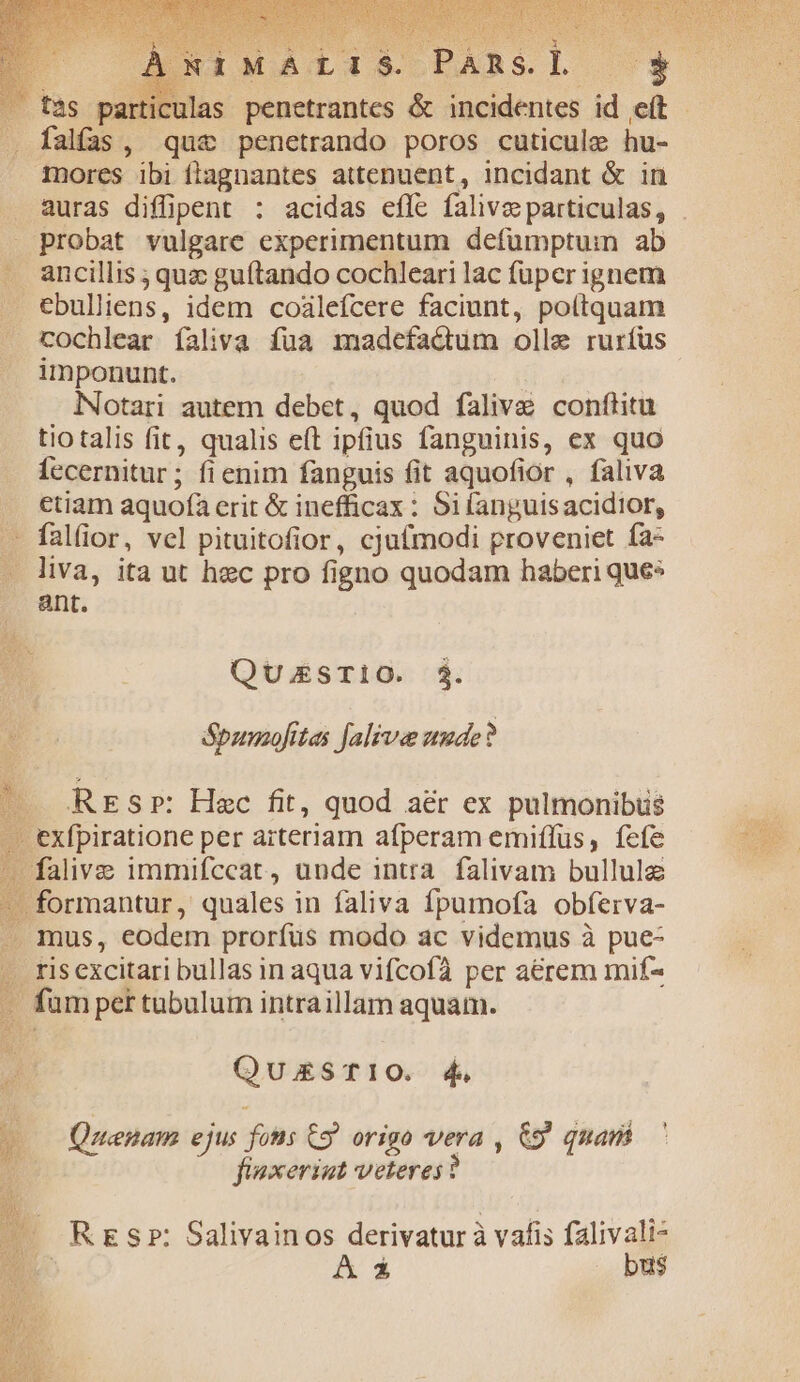 .fás pai . falfas, que penetrando poros cuticule hu- mores ibi ftagnantes attenuent, incidant &amp; in . auras diffipent : acidas efle falivz particulas, . probat vulgare experimentum defumptum ab . ancillis ; quz guítando cochleari lac fuper ignem ebulliens, idem coáàleícere faciunt, poítquam cochlear íaliva füa madefactum olle rurfus imponunt. | NNotari autem debet, quod falive conftitu tiotalis fit, qualis e(t ipfius fanguinis, ex quo Íccernitur; fienim fanguis fit aquofior , faliva etiam aquofa erit &amp; inefficax : 5i (anguis acidior, — fal(ior, vel pituitofior, cjufmodi proveniet fa- . diva, ita ut hec pro figno quodam haberi ques ant. Kk SN Qu.ESTIO. 3$. Spunzofitas falive uude ? . REsr: Hac fit, quod aér ex pulmonibus exfpiratione per arteriam afperam emiífus, fefe -falive immifccat, unde intra falivam bullulz - formantur, quales in faliva fpumofa obferva- . mus, eodem prorífüs modo ac videmus à pue- . ris excitari bullas in aqua vifcofà per aerem mif- fumper tubulum intraillam aquam. QukESTIO. 4. n Qzenam ejus fois C9? origo vera , &amp;9 quar. ' ? fiexeriat veteres ? —— Rrsr: Salivainos derivatur à vafis falivali- | A à bus