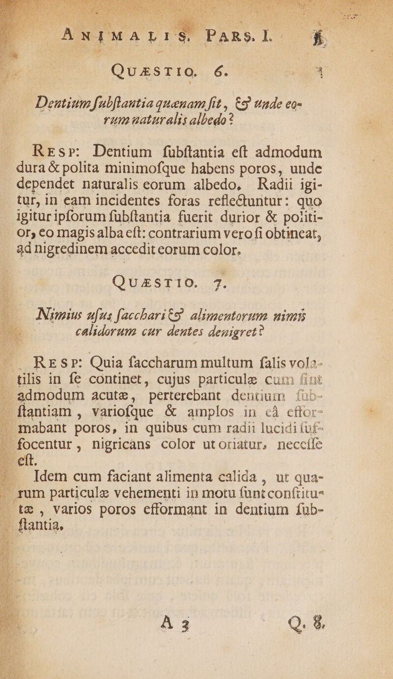 Deutium fabflautia quaenam fit , C9 tude eo- rumuaturalis albedo? . Rrsr: Dentium fübftantia eft admodum — dura &amp; polita minimofque habens poros, unde dependet naturalis eorum albedo, Radii igi- tur, in eam incidentes foras refle&amp;untur: quo igitur ipforum fübítantia fuerit durior &amp; poiiti- . Or,comagisalbaeít: contrarium vero fi obtineat, . 8dnigredinem accedit eorum color. QUESTIO. 7. Nimius aufus faccharits alimentorum nimi .. ealidorum cur. dentes deuigret? -. RES»: Quia faccharum multum falis vol?- . tilis in fe continet, cujus particule cum fiut admodum acute, perterebant dentiuin füb- -ftantiam , variofque &amp; amplos in cà cflor- mmabant poros, in quibus cum radii lucidi (u£- focentur, nigricans color utoriatur, neccife eft. Idem cum faciant alimenta calida , ut qua- um particule vehementi in motu funt conf(titu* 5 , Varios poros efformant in dentium Ífub- antia, |