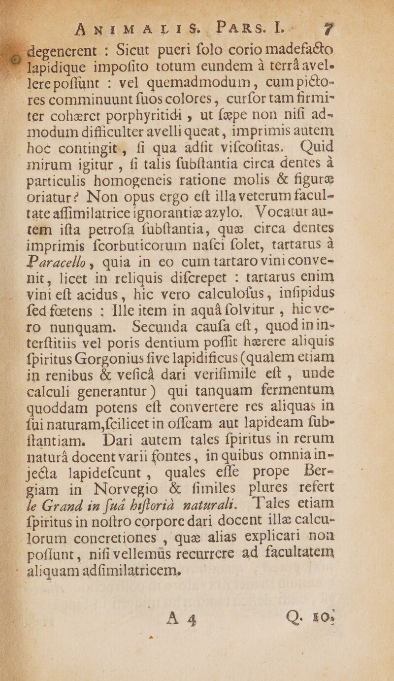 UU SA TNR LI een E T METEO ESSEER LA VoceEd d NOS e TOS, e eceereN Pe y M Ae DOE AME vela cs v4 | ANIMALIS. E egenerent : Sicut pueri folo corio madefacto lapidique impofito totum eundem à terrá avel- lerepoffünt : vel quemadmodum , cum picto- -. fes comminuunt fuos colores, curfor tam firmi- ter cohzret porphyritidi , ut fepe non nifi ad- .. modum difficulter avelli queat , imprimis autem .hoc contingit, fi qua adfit vifcofitas. Quid mirum igitur , fi talis fubftantia circa dentes à particulis homogeneis ratione molis &amp; figure oriatur? Non opus ergo cít illa veterum facul- tate affimilatriceignorantie azylo. Vocatur au- tem ifta petrofa fübflantia, quc circa dentes imprimis fcorbuticorum naíci folet, tartatus à Paracello , quia in eo cum tartaro vini conve- . nit, licet in reliquis difcrepet : tartarus enim -. vinieft acidus, hic vero calculofus, infipidus . ro nunquam. Secunda caufa eft, quod inin- — terftitiis vel poris dentium poffit haerere aliquis fpiritus Gorgonius five lapidificus (qualem etiam in renibus &amp; veficà dari verifimile eft , unde calculi generantur) qui tanquam fermentum quoddam potens eít convertere rcs aliquas in fui naturam,fcilicet in offeam aut lapideam fuüb- íftantiam. Dari autem tales fpiritus in rerum naturá docent varii fontes, in quibus omnia in- . jeda lapidefcunt , quales effe prope Der- - giam in Norvegio &amp; fimiles plures refert le Grand in fud biflorià naturali. Tales etiam . fpiritus in noftro corporc dari docent ille calcu- . .Jorum concretiones , quz alias explicari nou —— poffunt, nifi vellemüs recurrere ad facultatem —- aliquamadfimilatricem, —— | A 4 Q. 10;