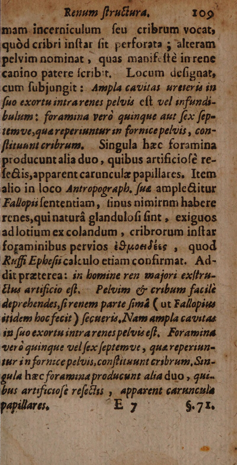 ttmve,quareperiuntur sn fornice pelvis , con- fitus cribrum, — Singula hzc foramina producuntalia duo , quibus artificiofé re- ÍeGis,apparentcaranculz papillares, Item alio in loco Aztropograpb. [u&amp; ampleGitur Fallopiilententiam, tinus nimirnm habere rcnes,quinaturá glandulofifint , exiguos adlotium ex colandum , cribrorum inftar foraminibus pervios i9)1«oedé«e ,. quod Kuff Epbefii calculo etiamconfirmat.. Ad- dit preterea: 45 bomine ren majori ex[Iru- £s aruficio efl. Pelvim e cribum facile | eeprebendes,fi renem parte fimá ( ox Fallopius stidem boc fecit ) feceris [Nam ampla cavitae n fao exortusntrarenes pelviseft, Foramina verà quinque velfex [eptemve , queveperiun- iur án fornicepeluis,conffitunnt cribrum Sm-. gula hec foramina producunt alia duo , qué. bus arttficofe refetits , Apparent caruncula