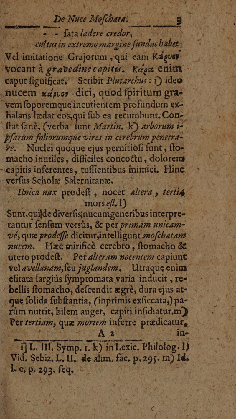  d tyvet Lu nd pcr MES M4 t W'IID (4, Deus Mound. PUTES, 3 ion 4.  fata ledere eredor, br MOST ydi imitatione. Grajorum ,qui eàm. Kaguty caput fi fignificat. Scribit Plutarchus : i) ideo .nucem zuvor - dici, quod fpiritum gra- vem foporemquei incutientem profundum ex- halaris lzedar eos,qui füb ea recumbunt, Cone. arum faliorumque vires in cerebrum penetra *&amp;. Nucleiquoque ejus pernitiofi funt , fto--  capitis inferentes, tuífientibus i inimici, Hinc - verfus Scholz Salernitanz. - ^ mors ef 1) M UR tantur fenfam versüs, &amp; per primam unicam- V, quz prodeffe diciturjintelligunt zo/cbatanz zutem. ixcmirificé cerebro , ftomacho &amp; -ütero prodeft, Peralteram nocentem capiunt - / velavellenamfeu juglandem, : Utraque enim -efitata largis fymptomata varia inducit , re- - ' bellis ftomacho, defcendit agre, dura ejus at- | rüm nutrit, bilem auget, capiti infidiatur.m)) Per tertiam, que; porn inferre praedicatur, s C, p. 293: ul  6. k 4a E : iy ^» -