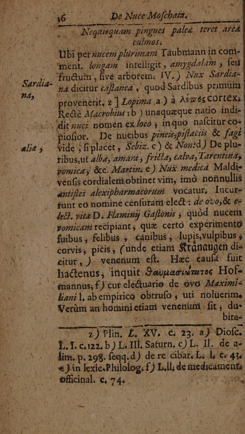 NIC TO MIDI UO REA E AUC Bre LI OMS SEP TNI $07 s Me o7 c DeNMeMapMe on : Al literie m ENT Sd emere ror Ms erre pegta. c0 vtm vi Vt cc ei AMN CUMQUE palea... teret. ajbd, bi perzucem plurimam Táubniann in com lo ueooor ment, engem: intelligit , 4727g24/4 5 fed A ier dac OR, Roiramofa Yi) eHar ae (ome 4. HA dicitür ciflapea , quod Sardibus primum j (( jprtovenerit, z ] Lopuma a-) à As óc COTLCXs. Reá Macrobius ib.) unaquaque natio Andie ^ ditzuc nomen ex loco , inquo nafcitur co» |. iofior. De nucibus porezpiflatiis &amp; fagi «lit; Wide;liplacet, Sebiz. c) &amp; Non:d) De plu J Á FE. » Lj L.! , ^e s vectes itane mapu, Wm! com ceti 0n 0-2. o wffenal. 694... ind